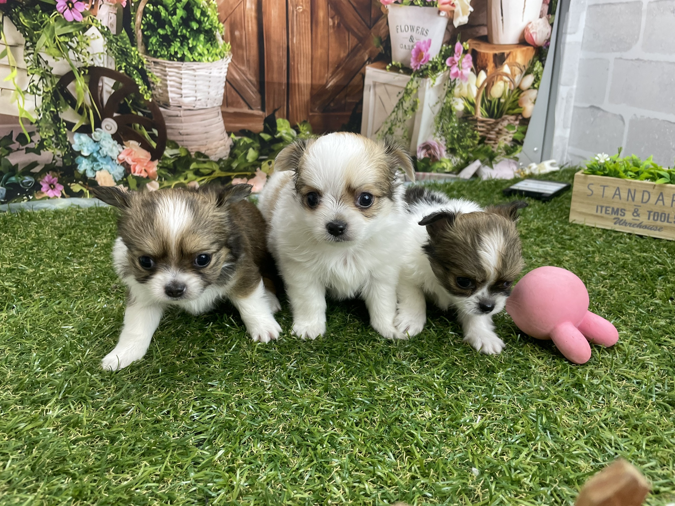 赤ちゃん写真2-3