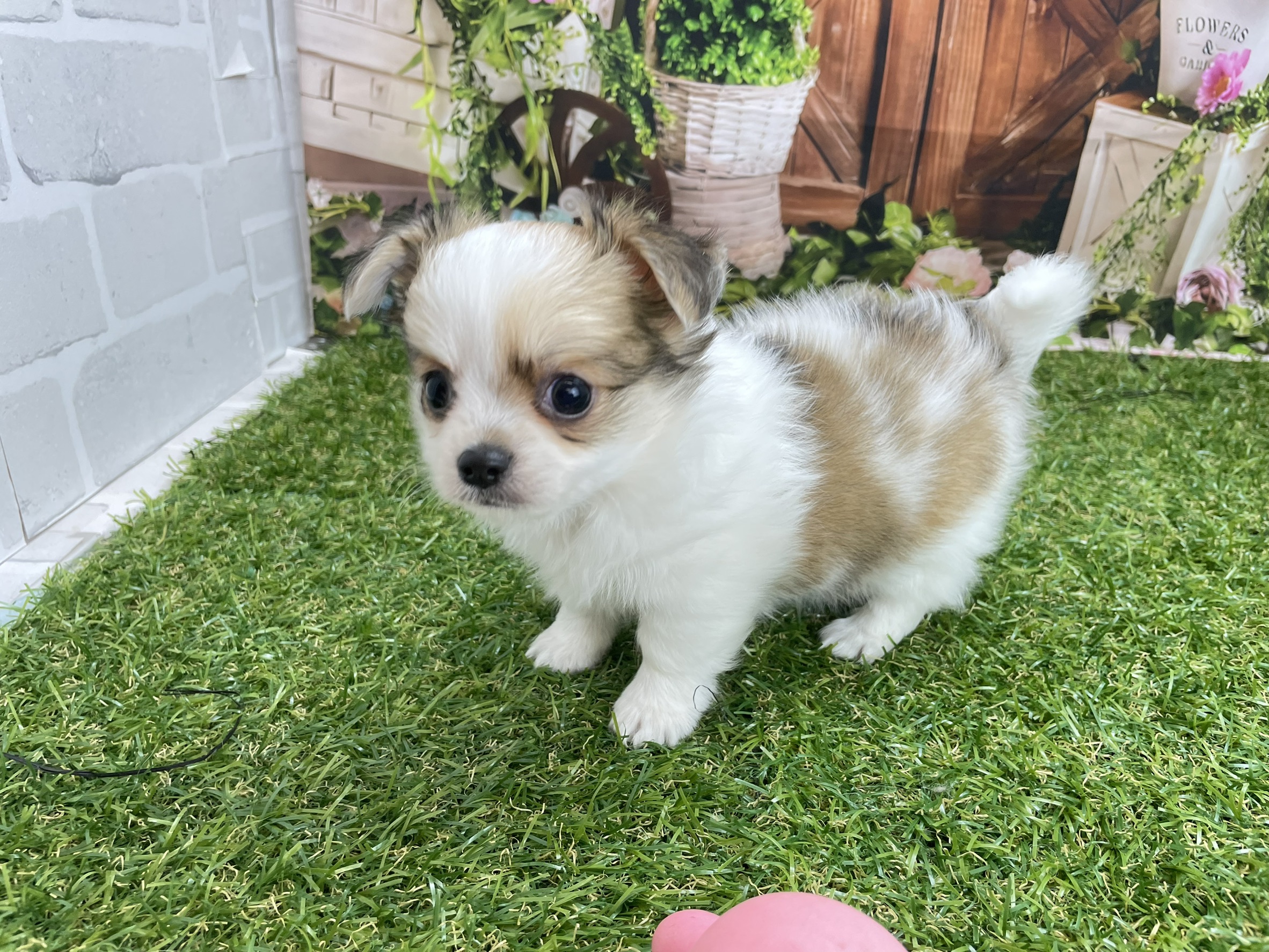 赤ちゃん写真3-2