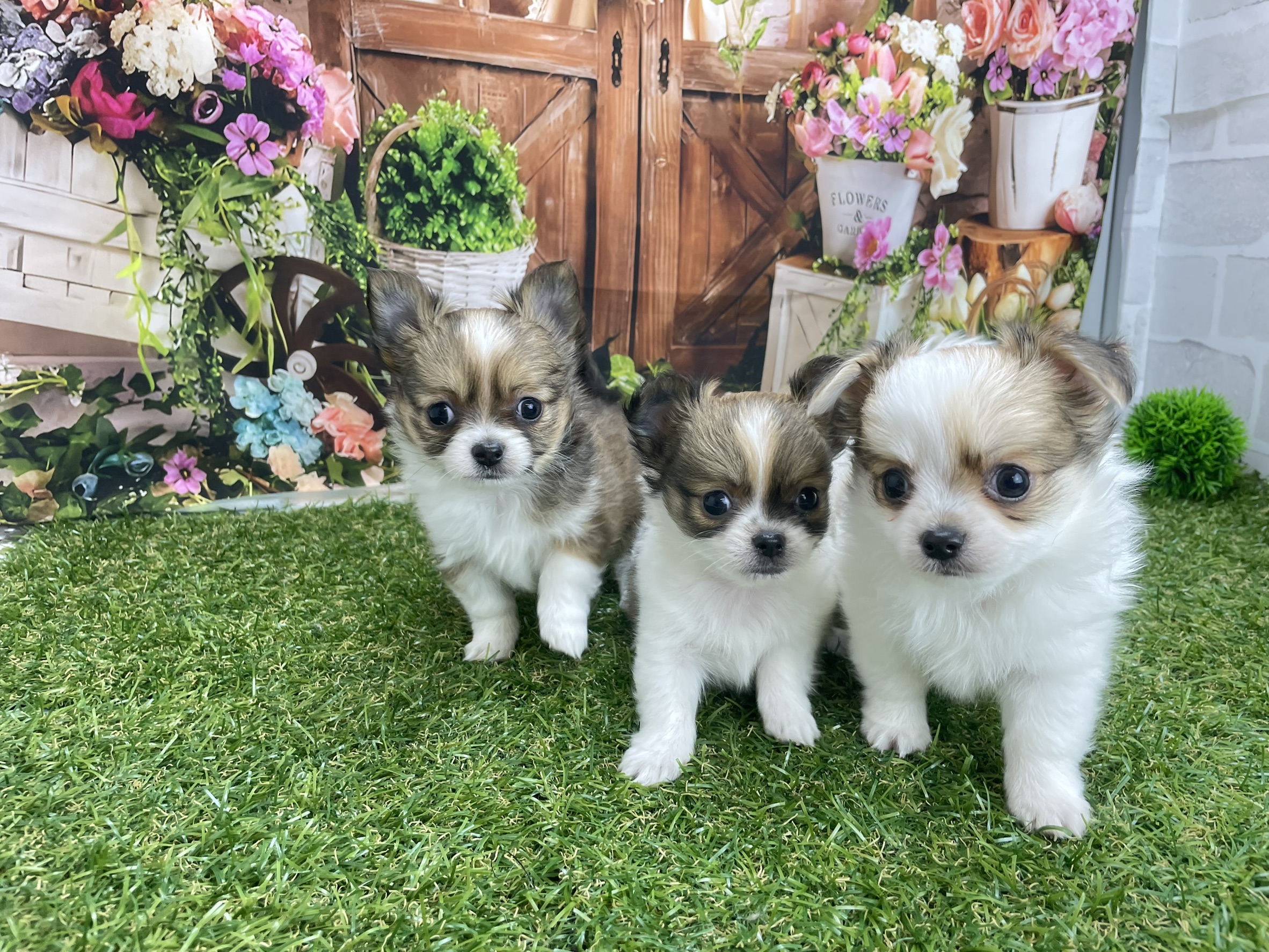 赤ちゃん写真3-3