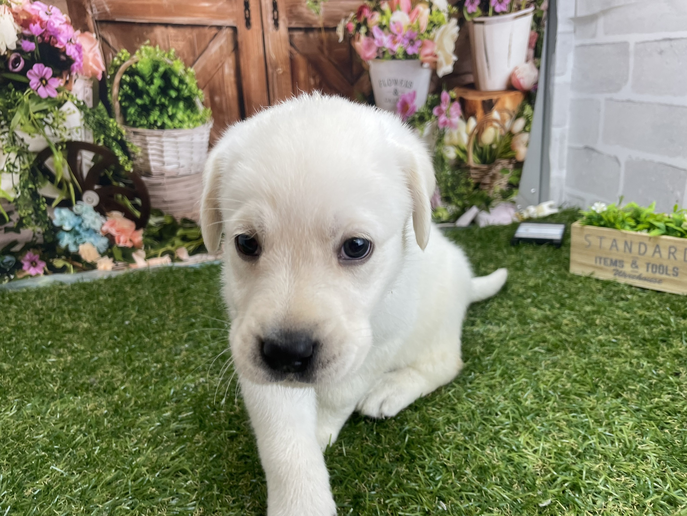 赤ちゃん写真2-1