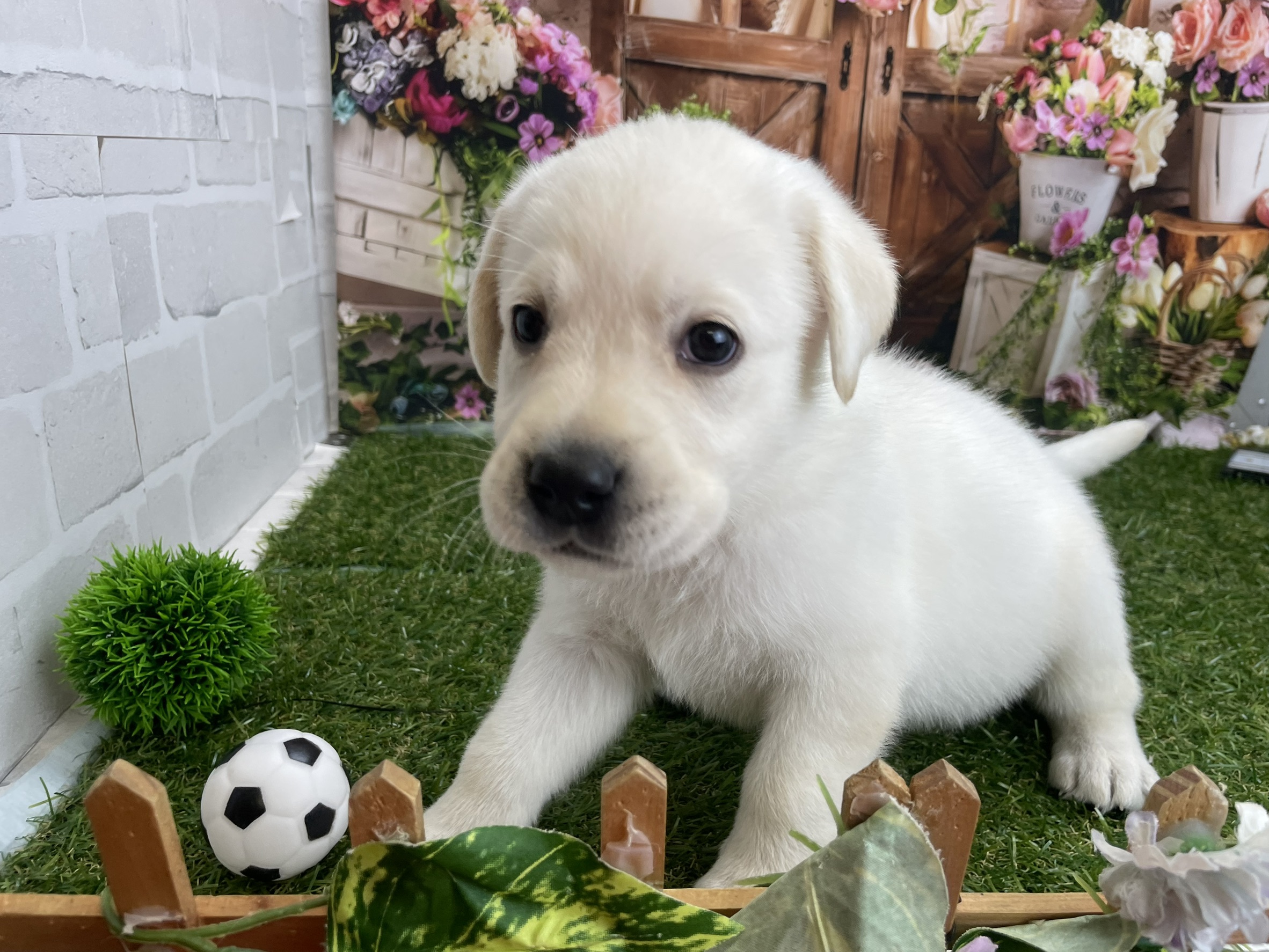 赤ちゃん写真2-2