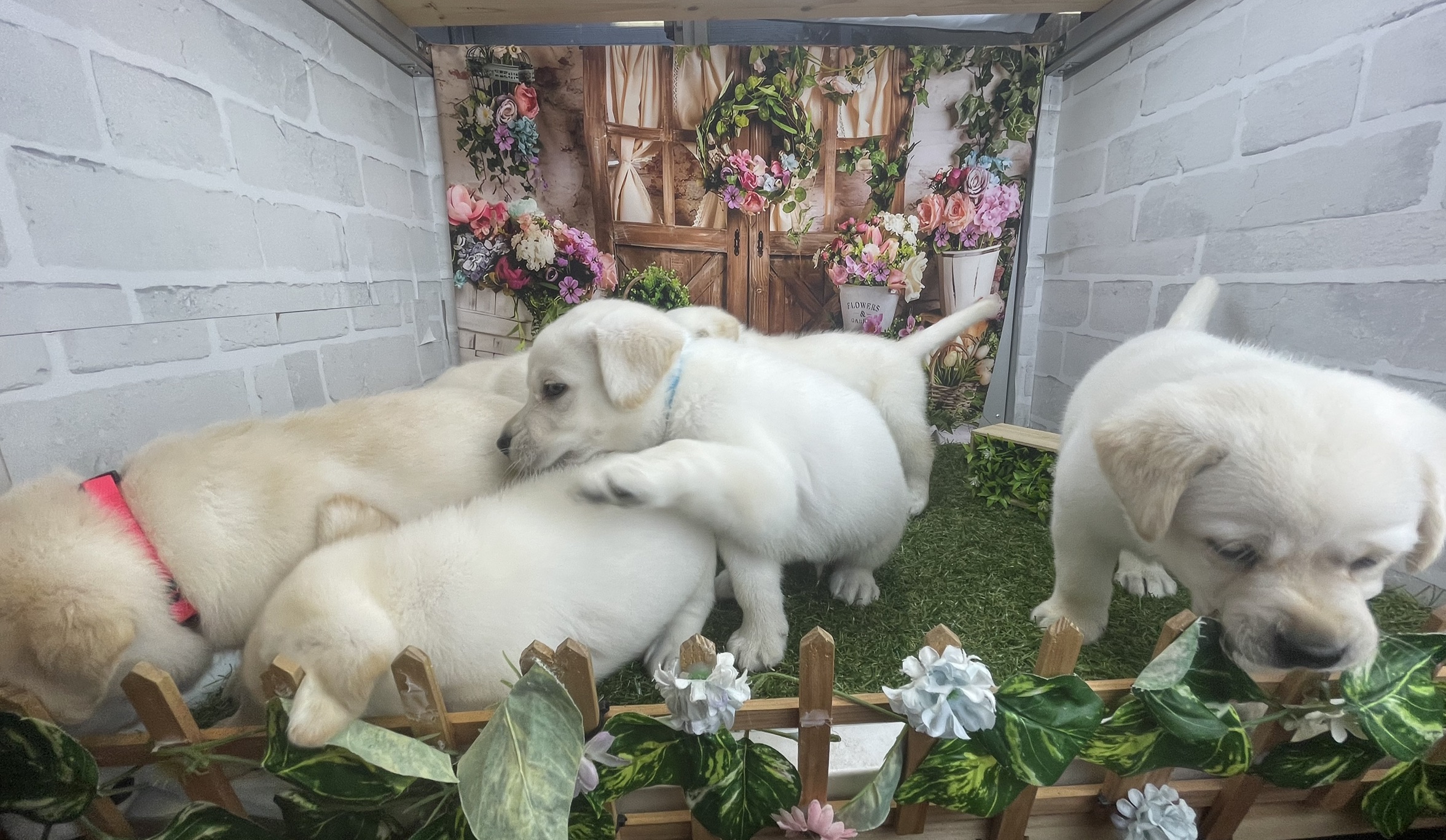 赤ちゃん写真2-3