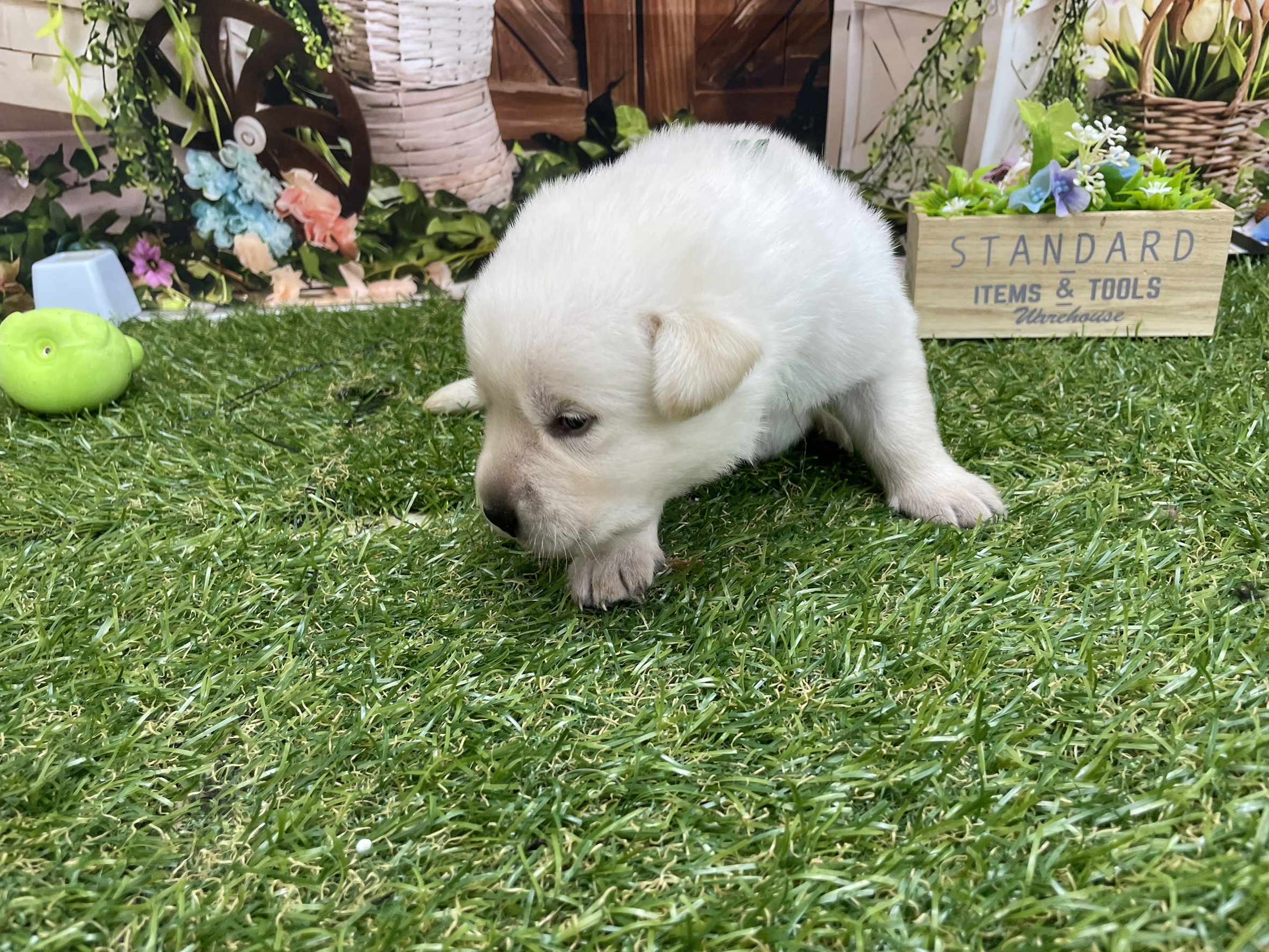 赤ちゃん写真1-2