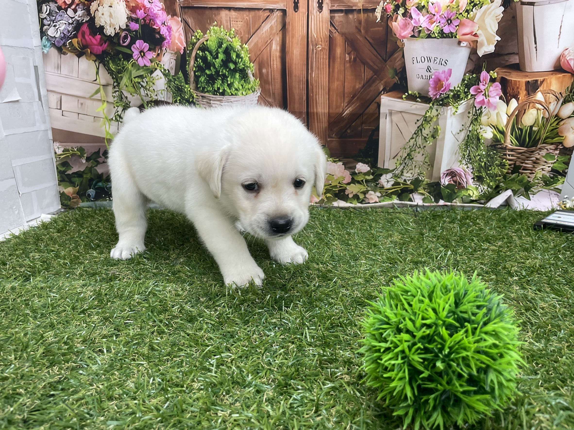 赤ちゃん写真2-2