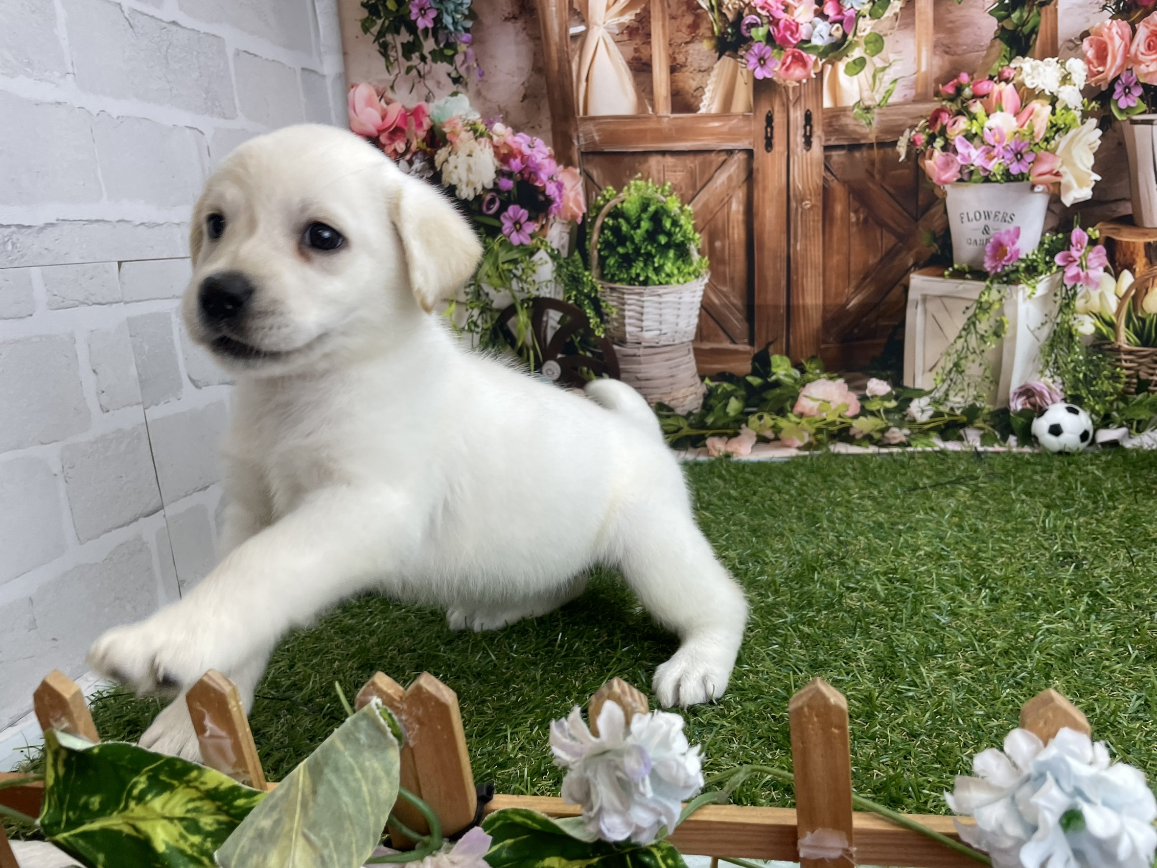 赤ちゃん写真3-2