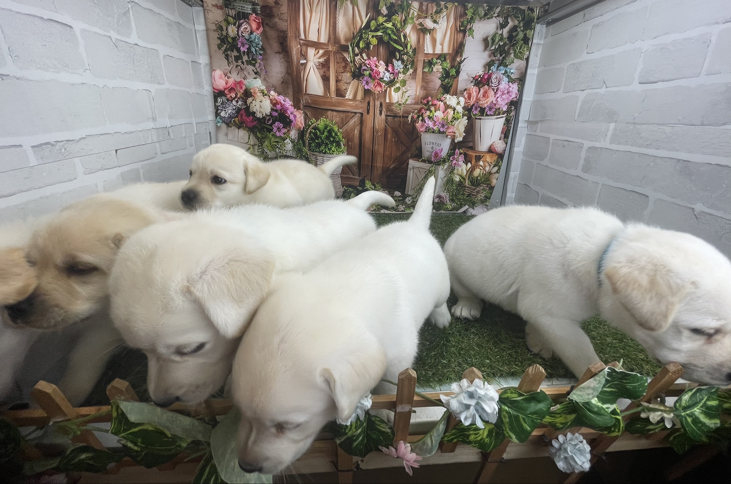 赤ちゃん写真3-3