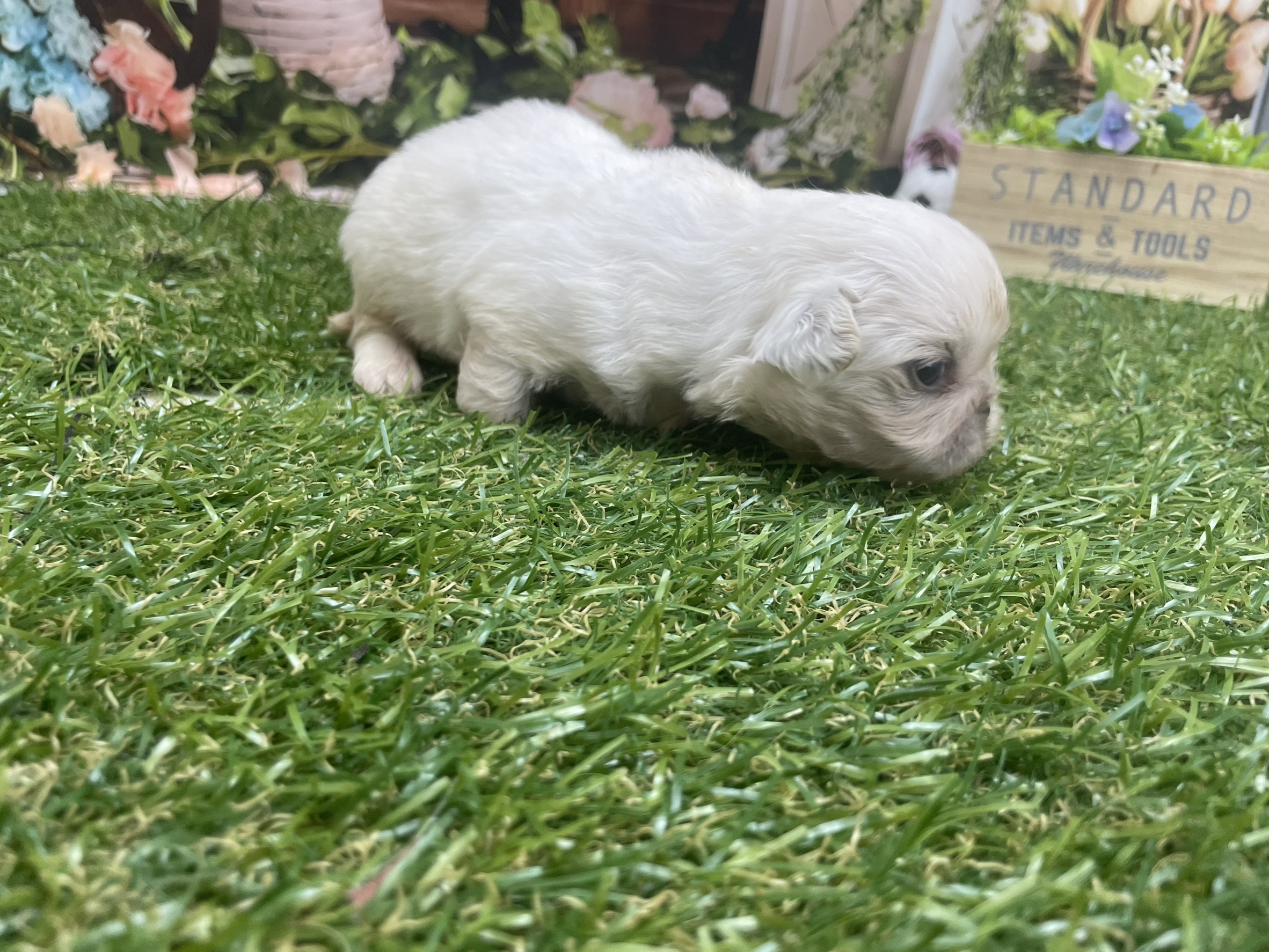 赤ちゃん写真1-3