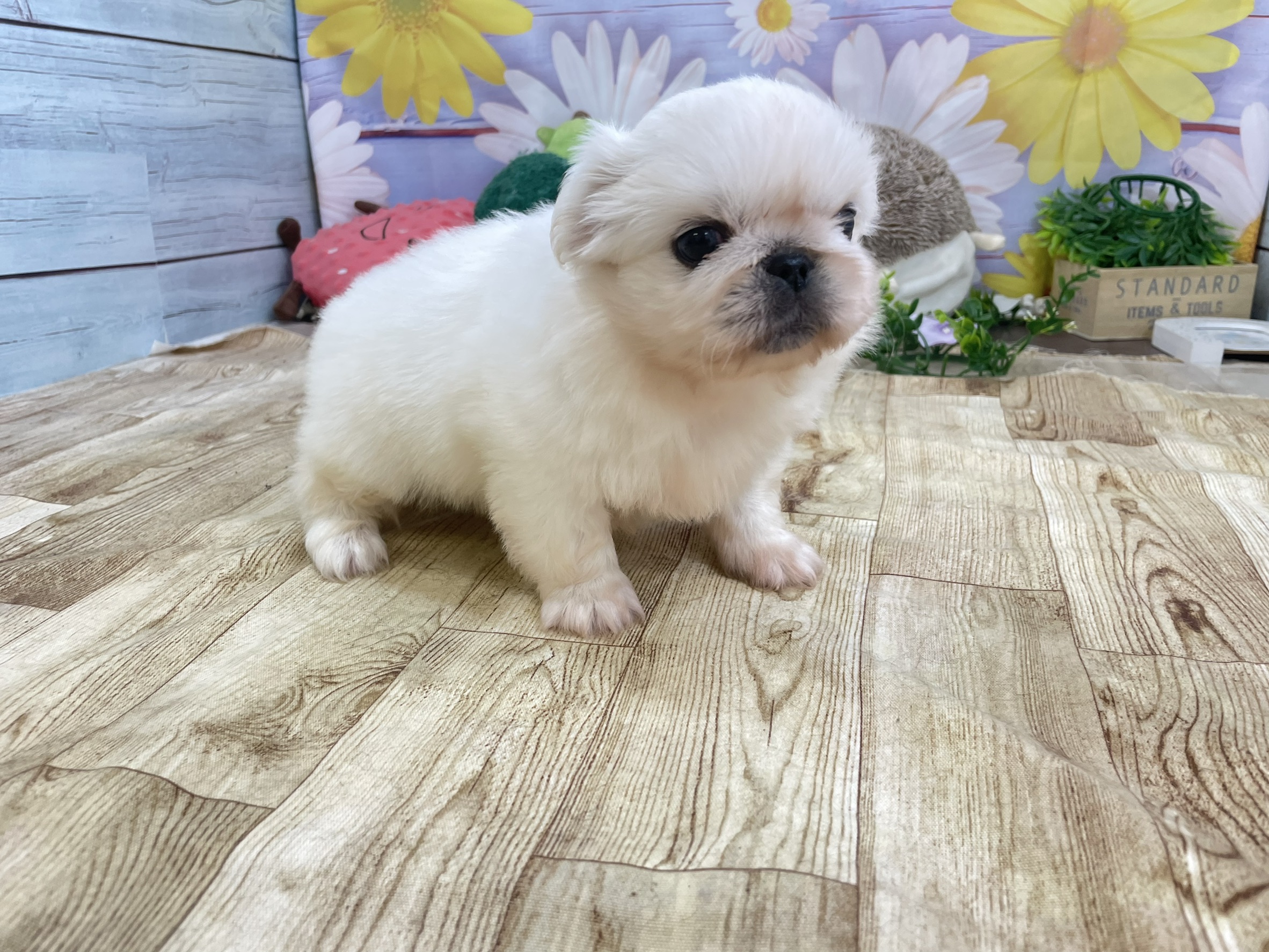 赤ちゃん写真2-2