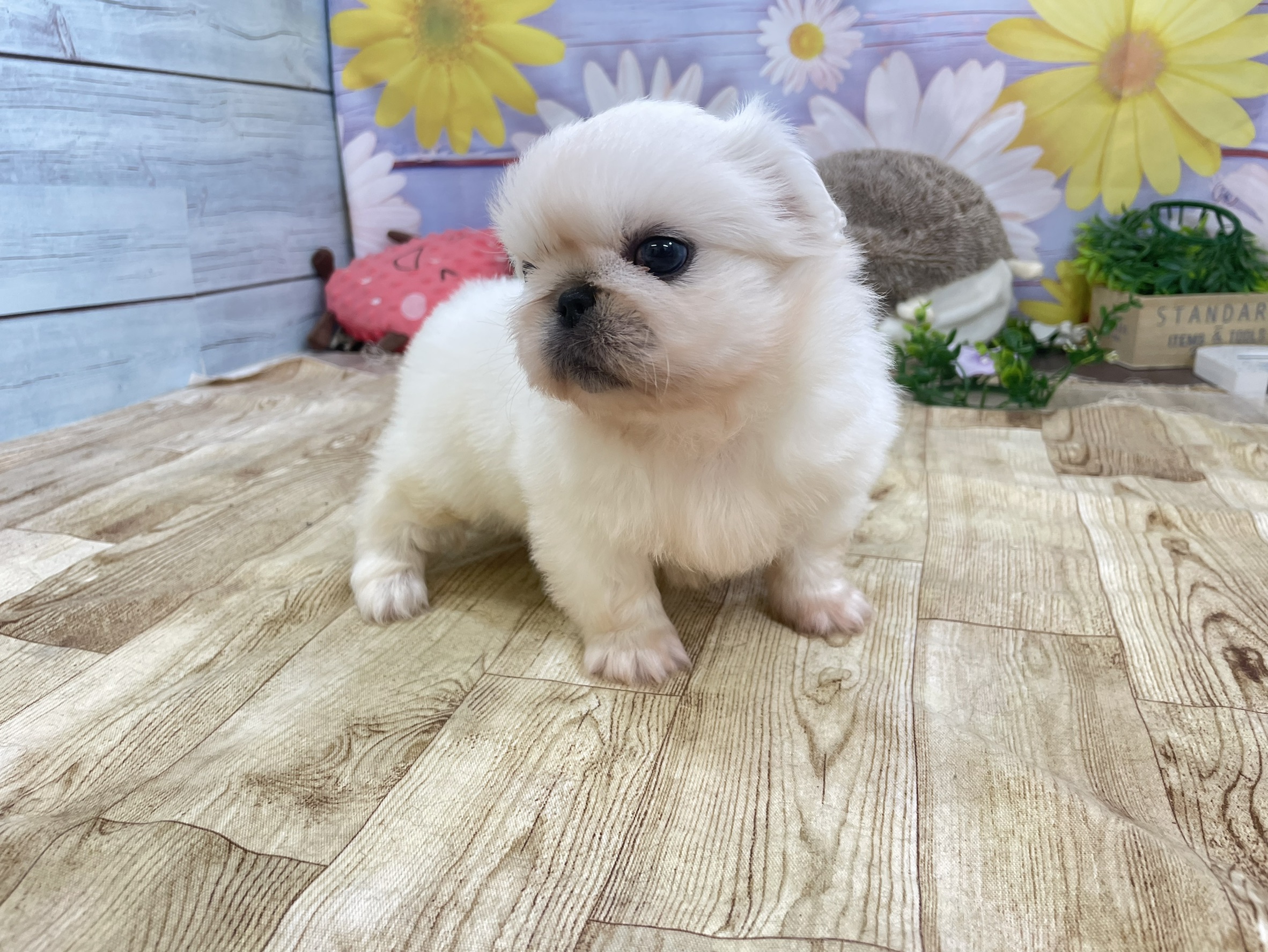 赤ちゃん写真2-3