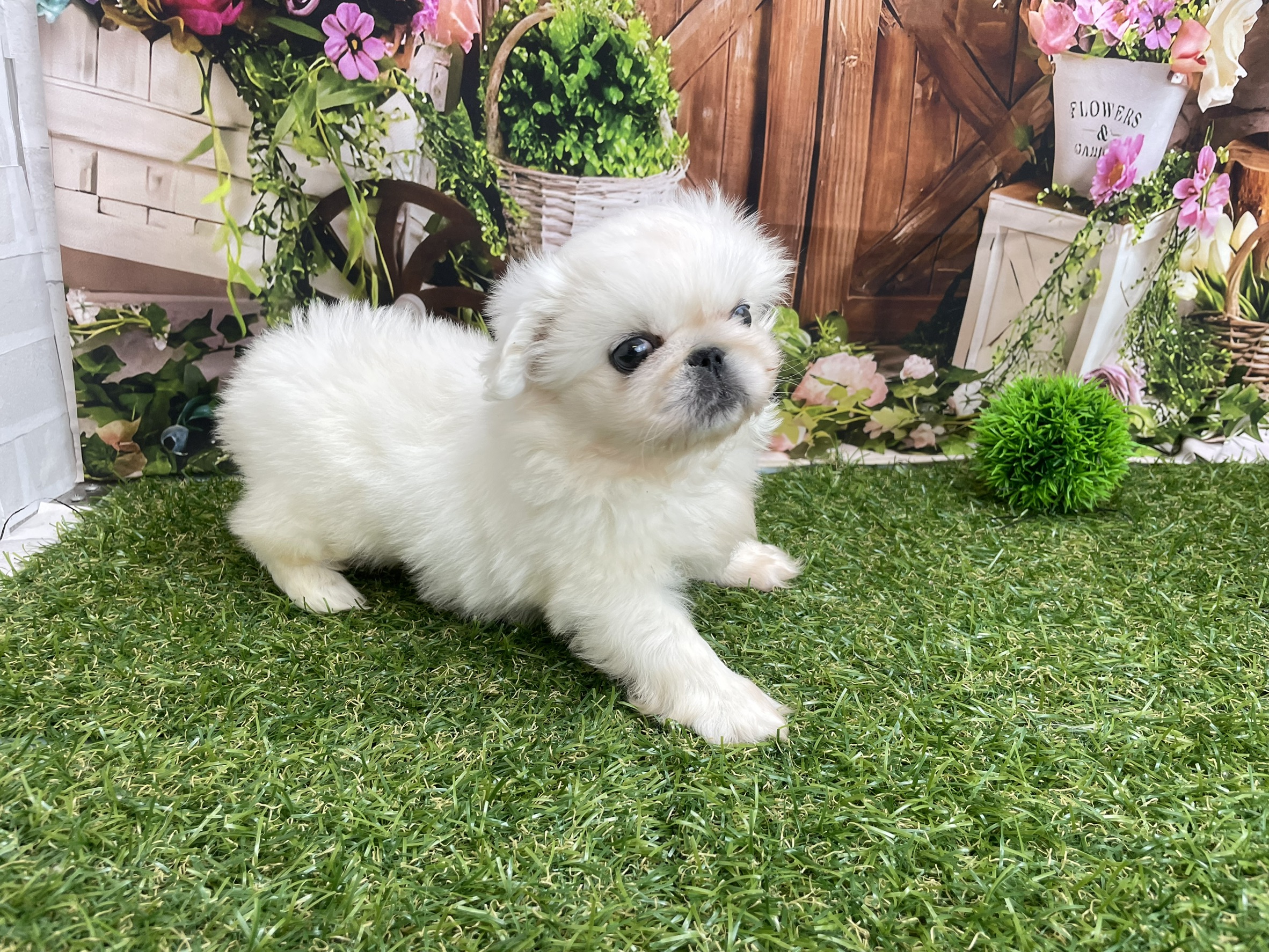 赤ちゃん写真3-2