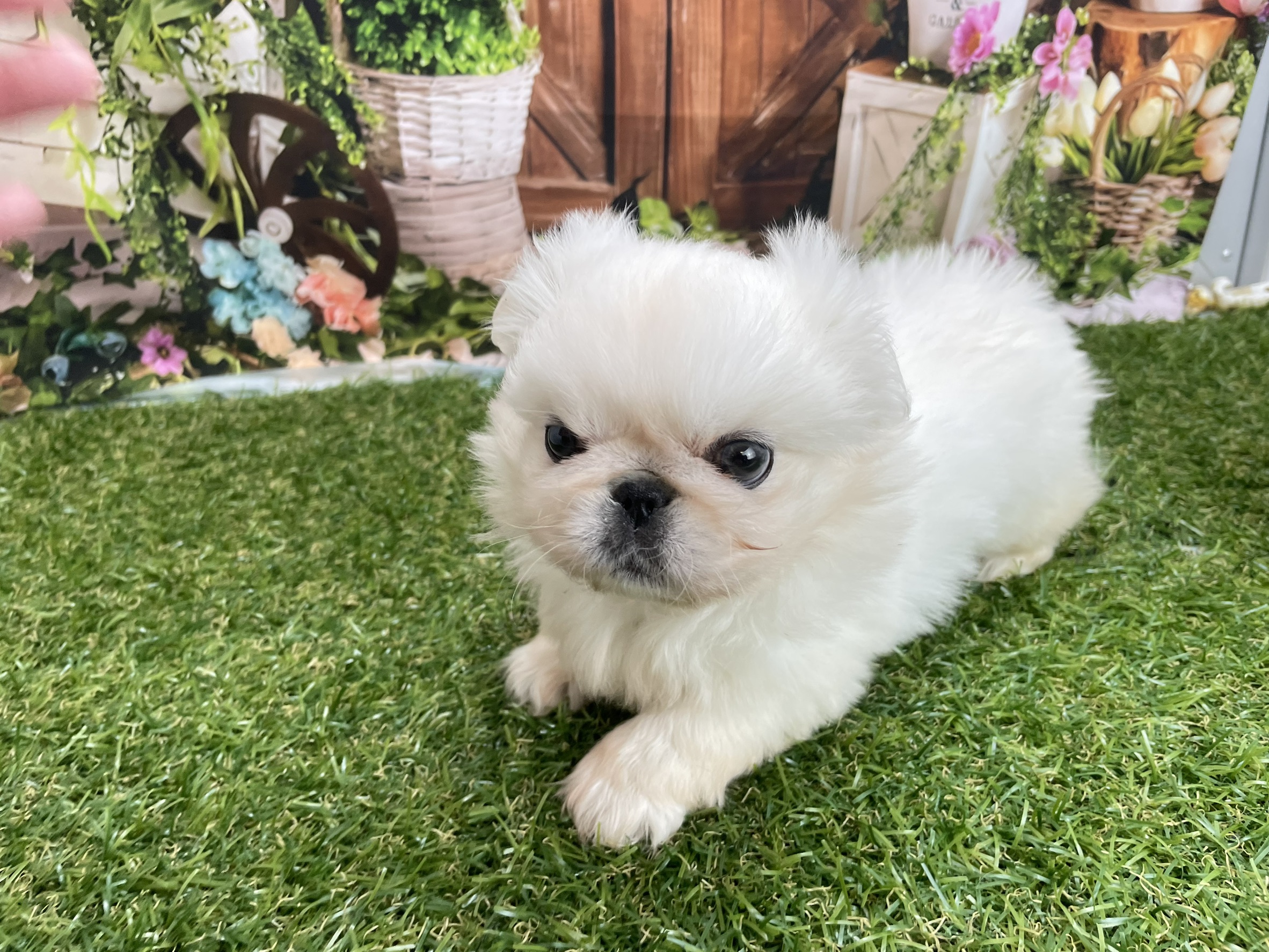 赤ちゃん写真3-3