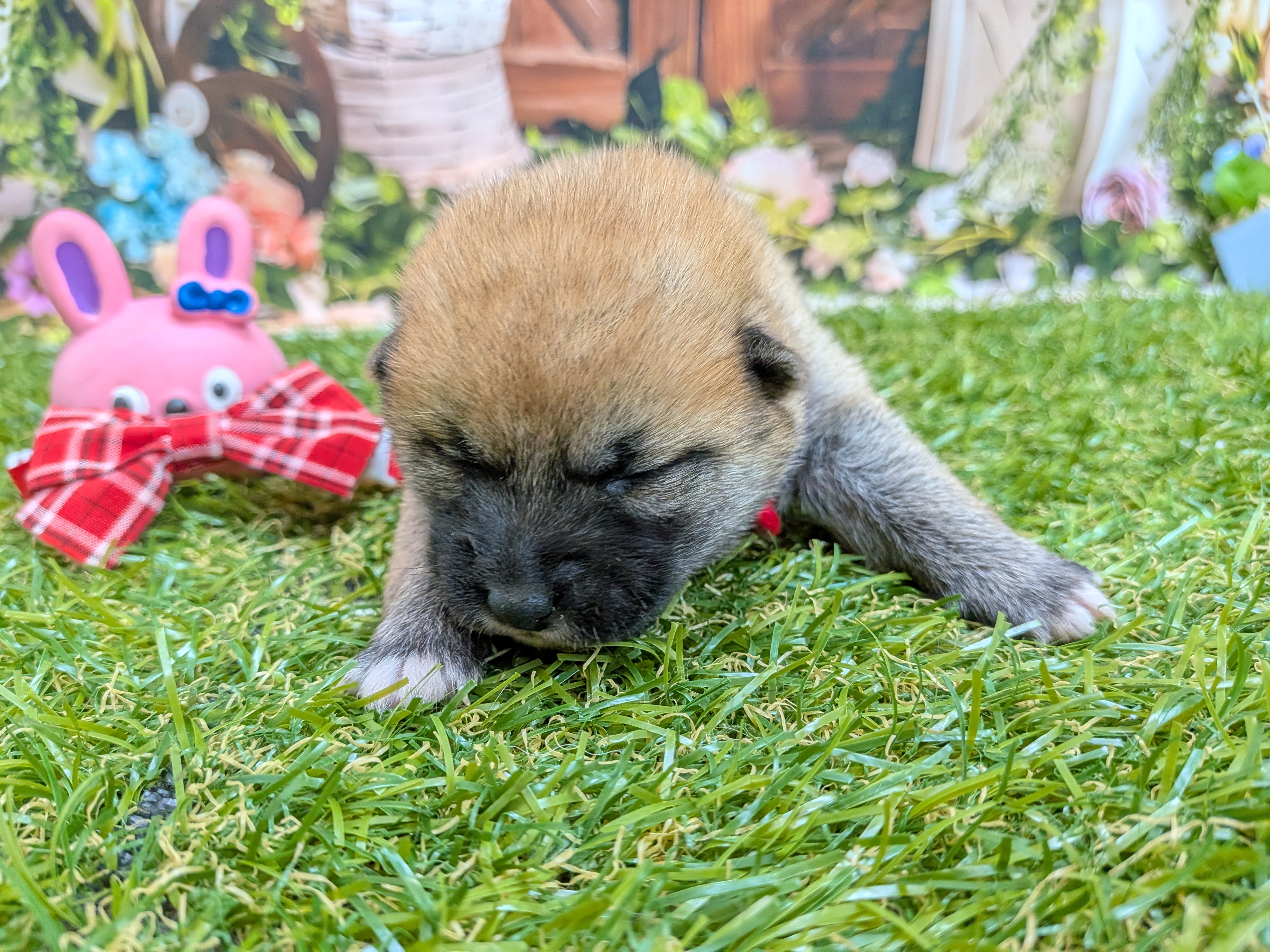 赤ちゃん写真1-1