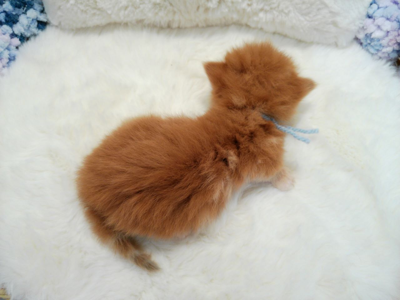 赤ちゃん写真1-3