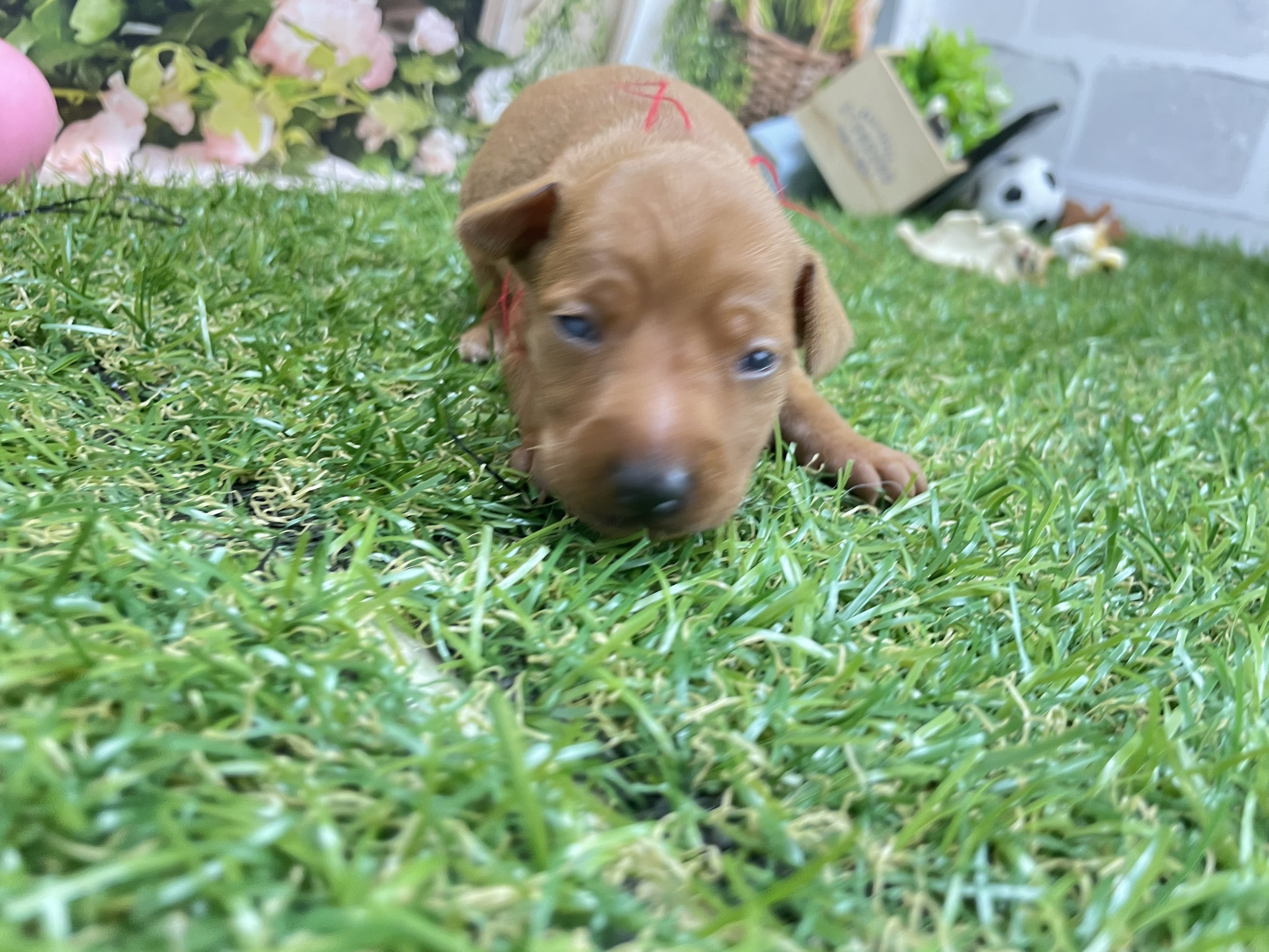 赤ちゃん写真1-1