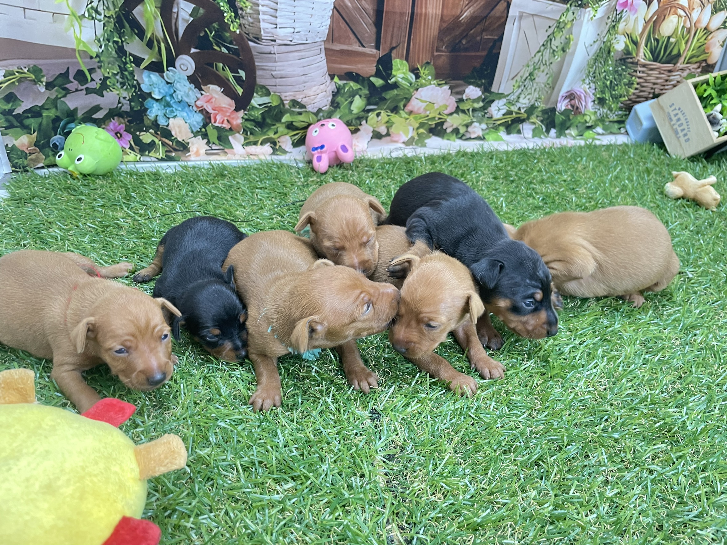 赤ちゃん写真1-3