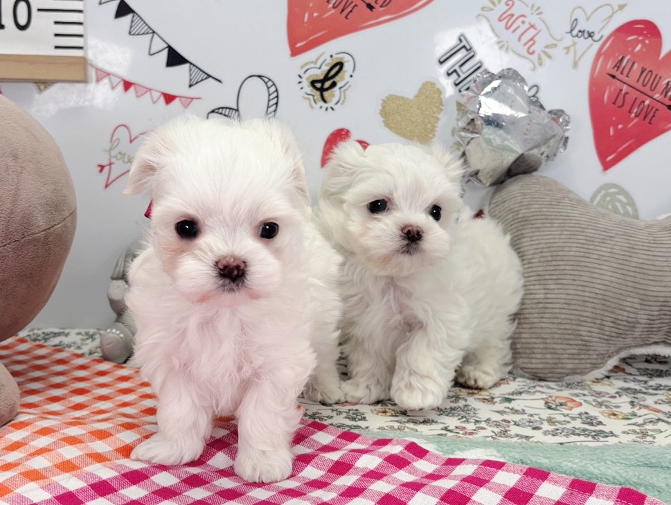 赤ちゃん写真2-3