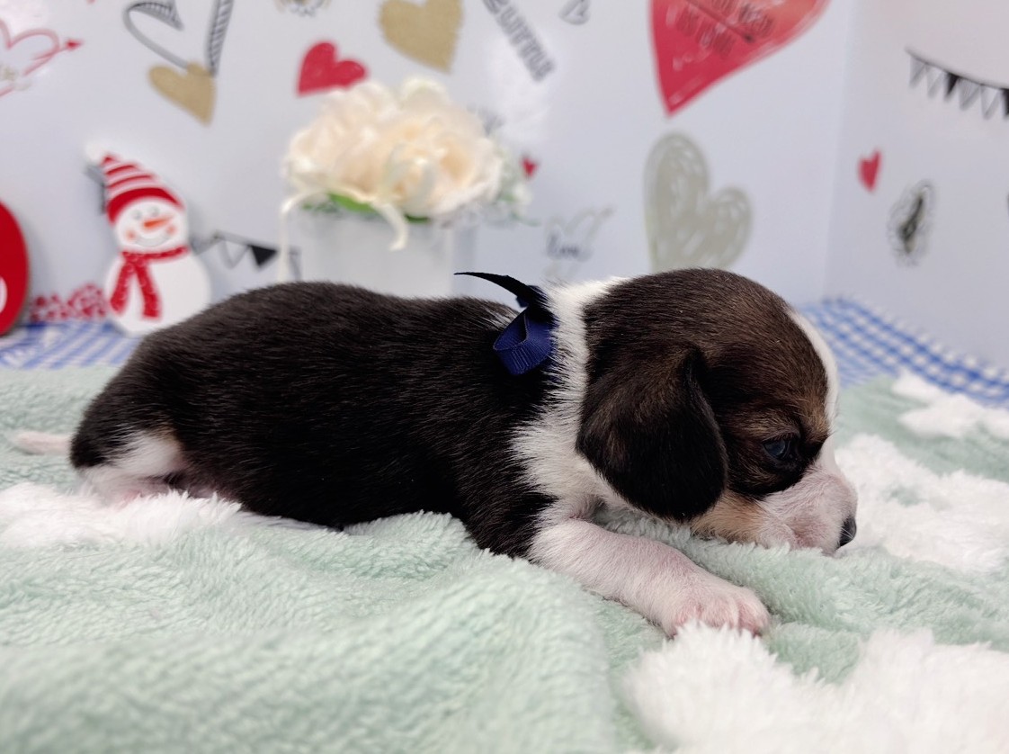 赤ちゃん写真1-2