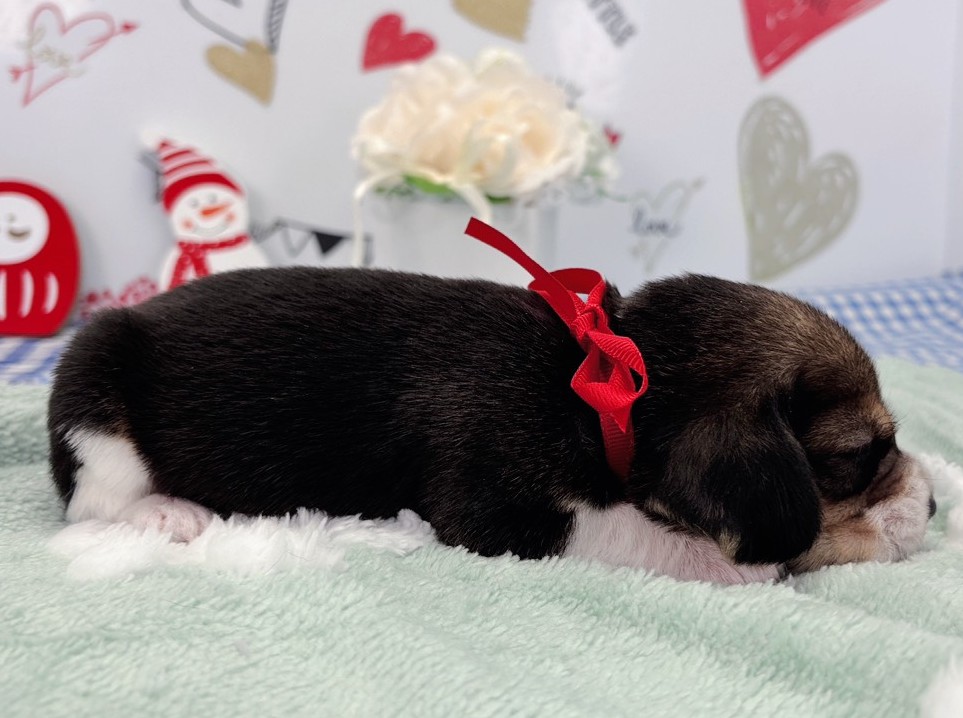 赤ちゃん写真1-2