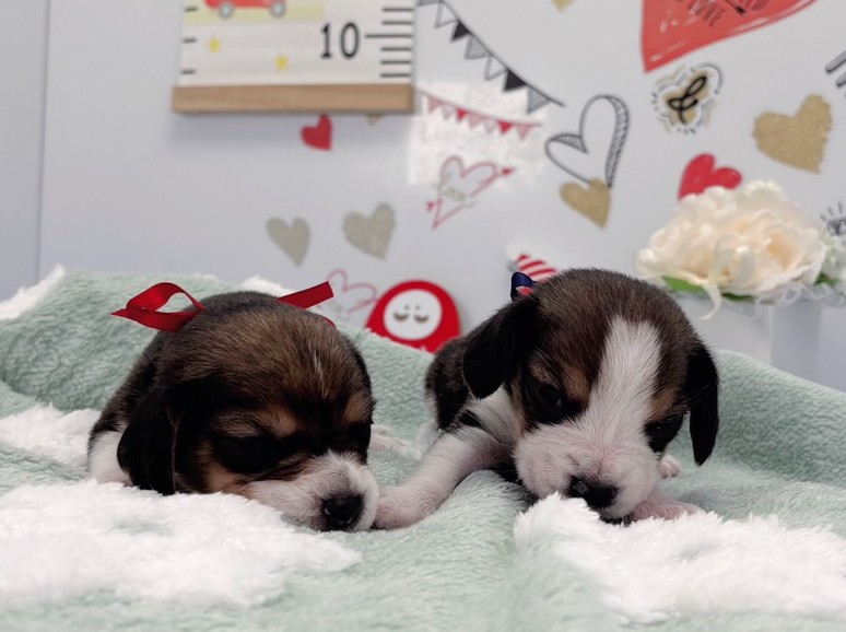 赤ちゃん写真1-3