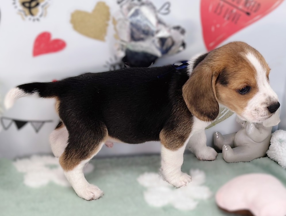 赤ちゃん写真2-2