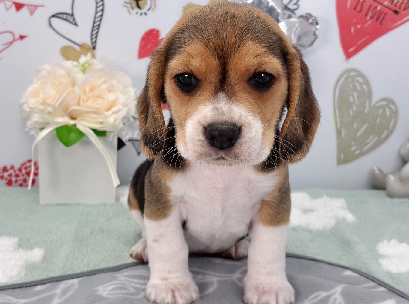 赤ちゃん写真2-1