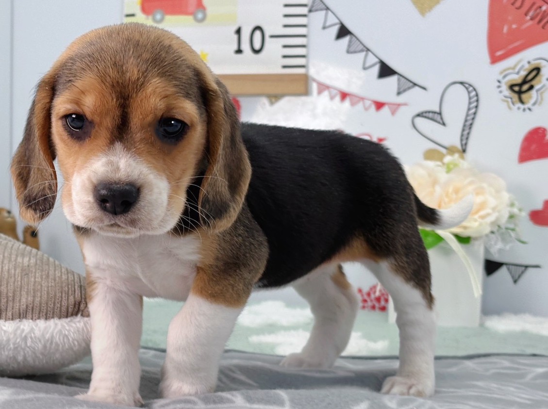 赤ちゃん写真2-2