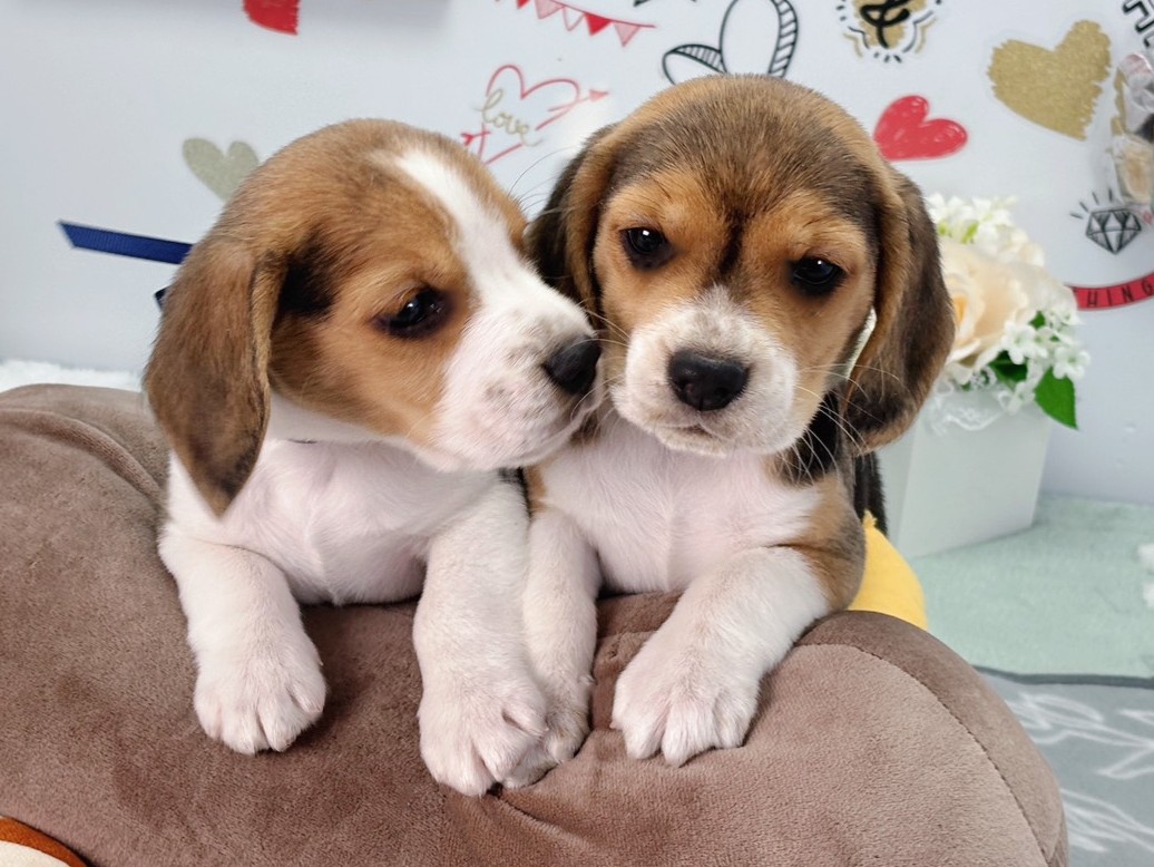 赤ちゃん写真2-3