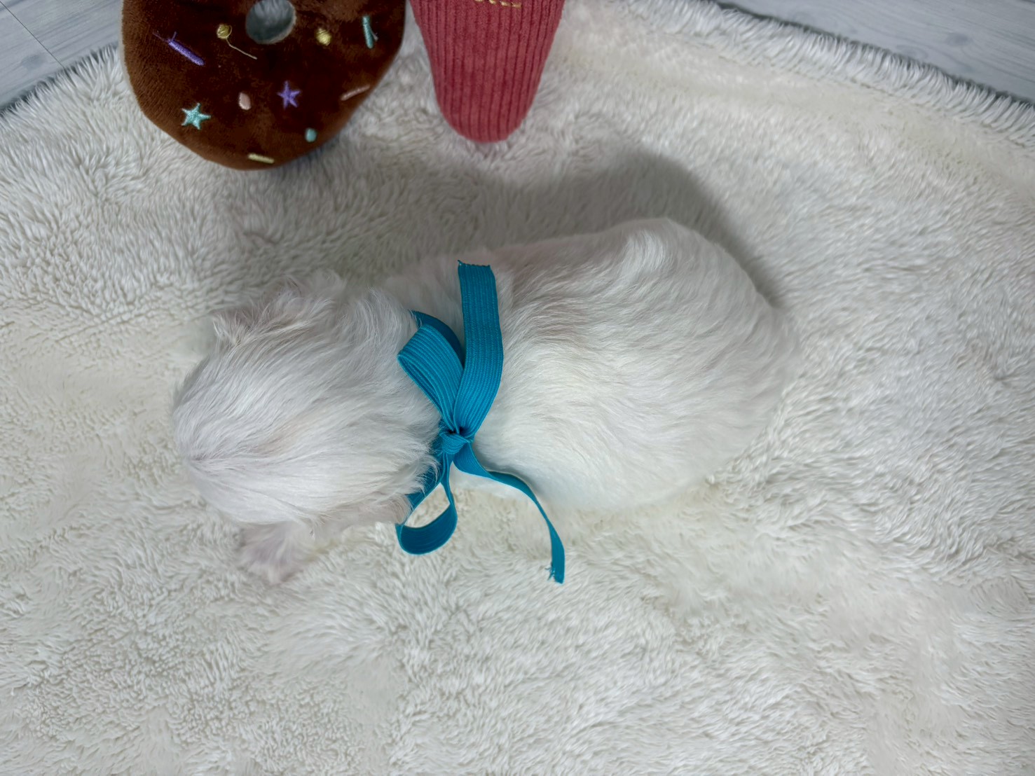 赤ちゃん写真2-3