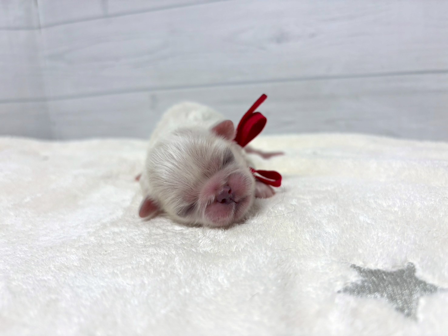 赤ちゃん写真1-1