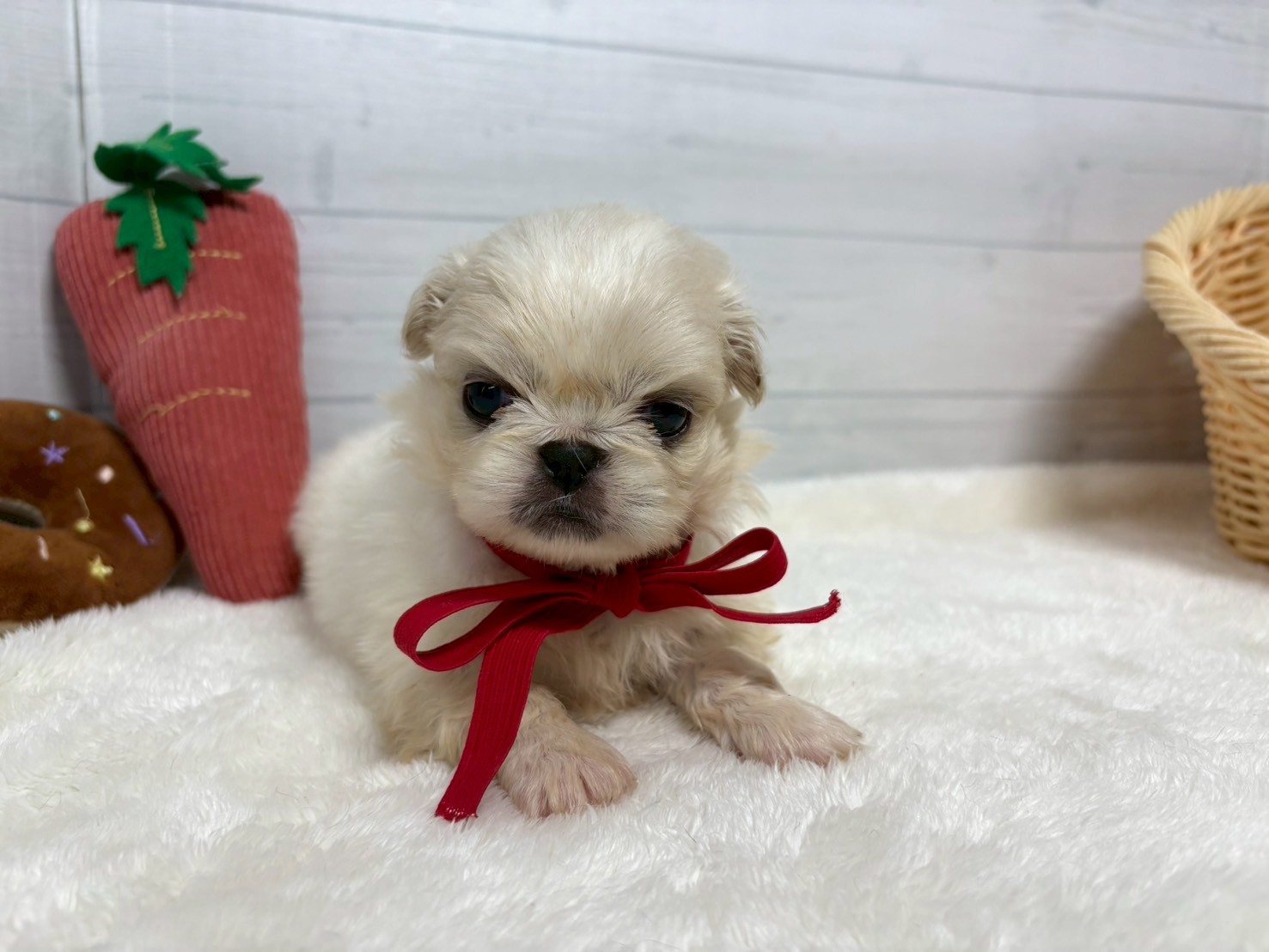 赤ちゃん写真2-1