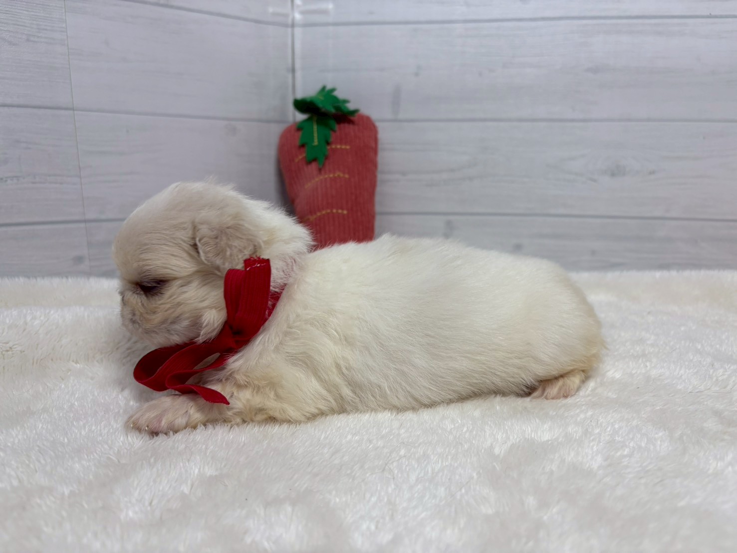 赤ちゃん写真2-2