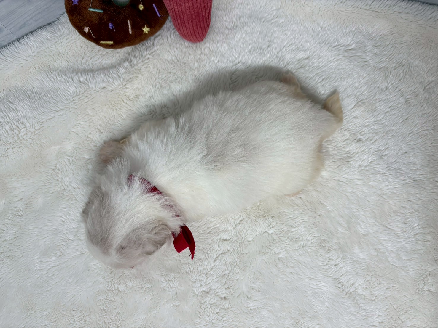 赤ちゃん写真2-3