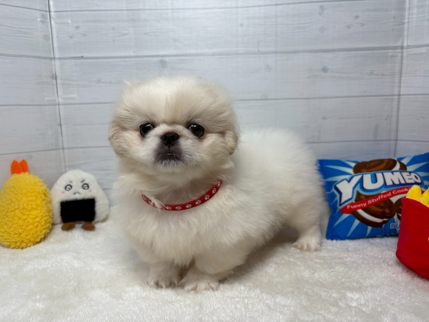 赤ちゃん写真3-1