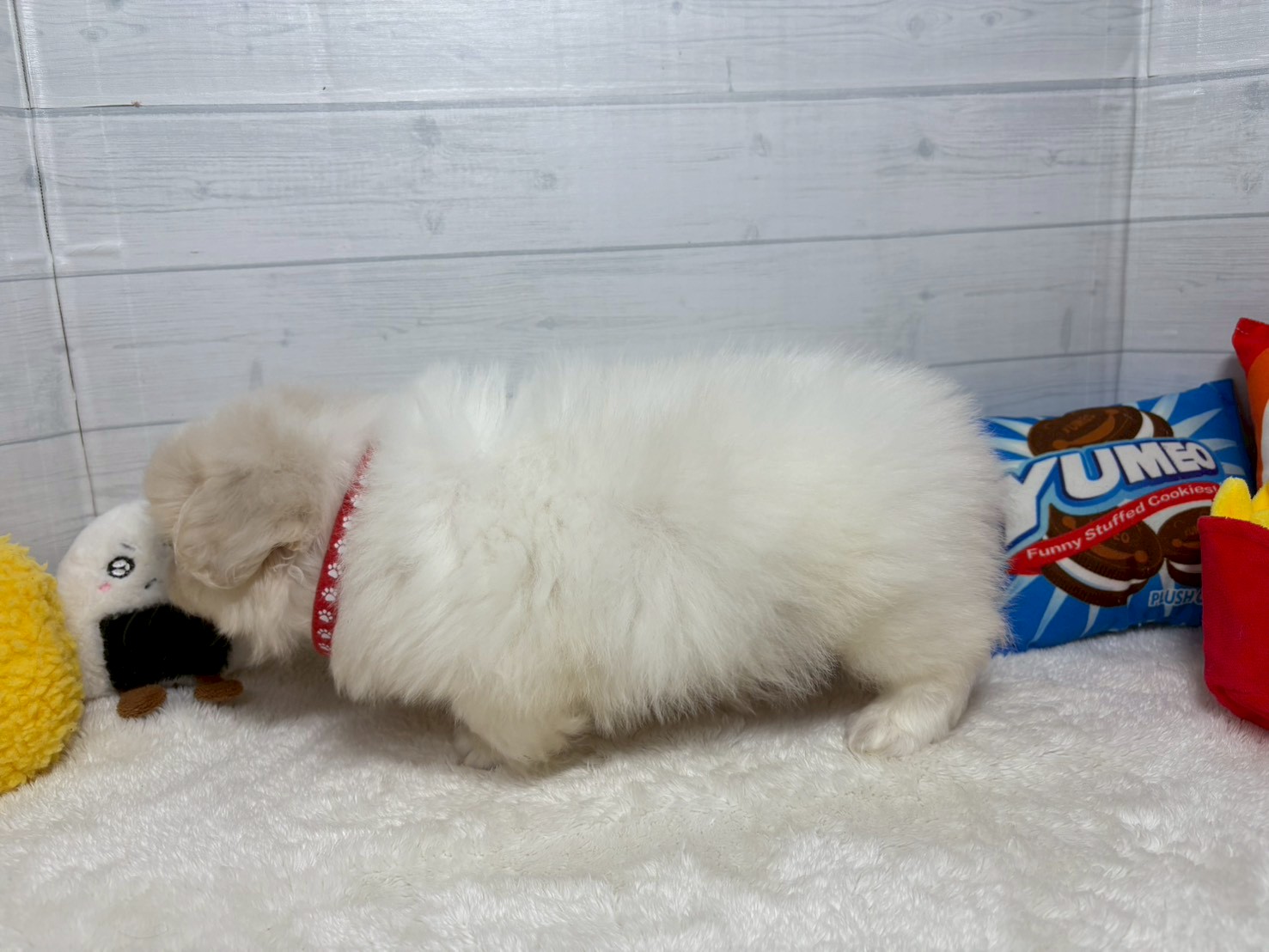 赤ちゃん写真3-2