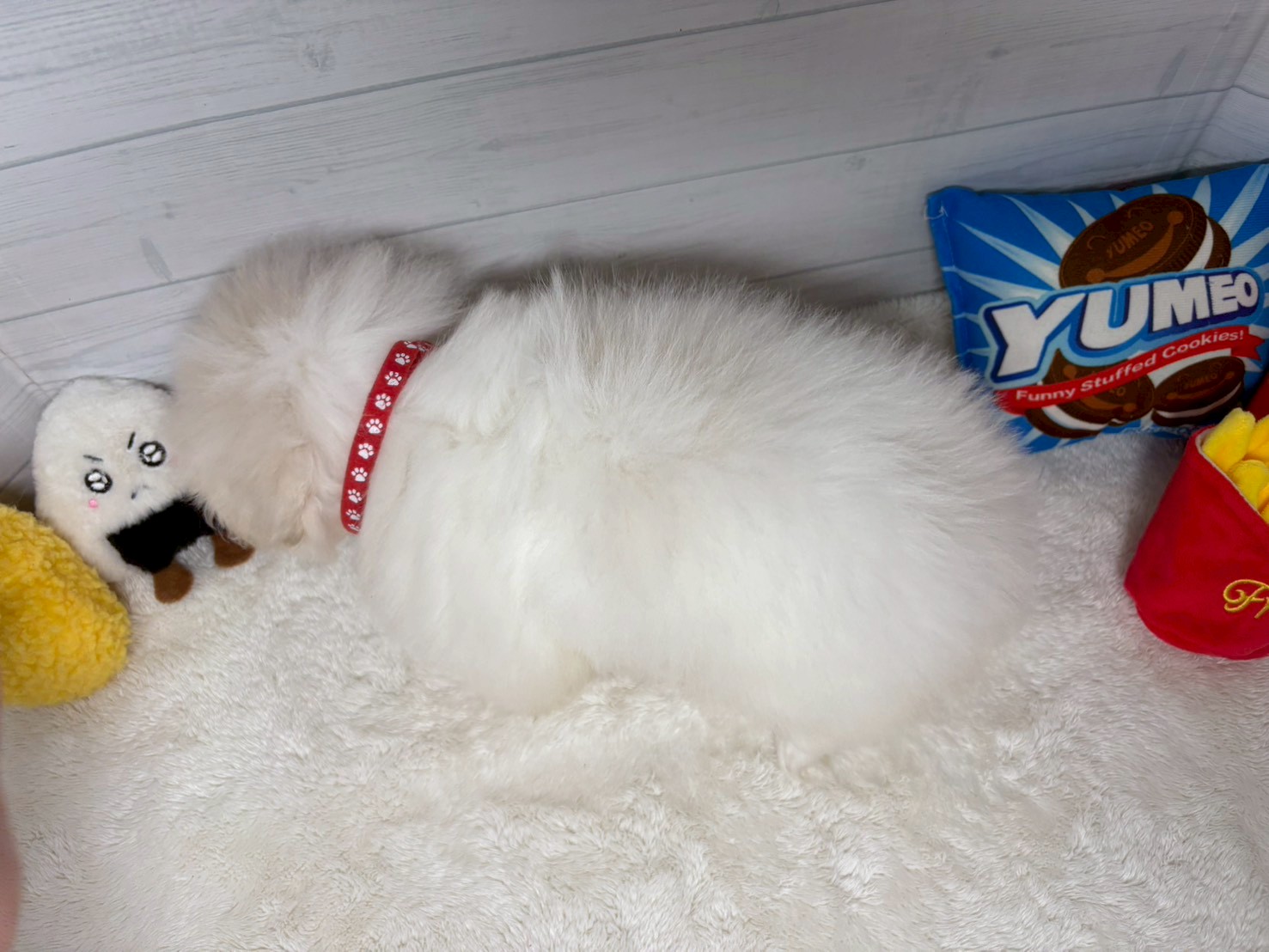 赤ちゃん写真3-3