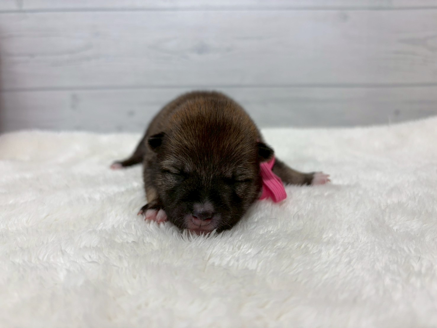 赤ちゃん写真1-1