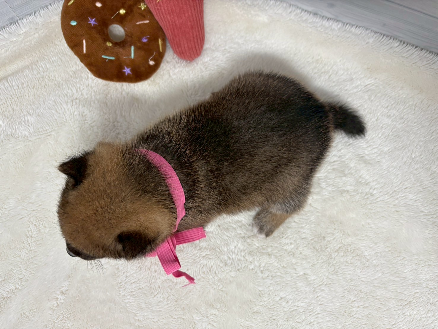 赤ちゃん写真2-3