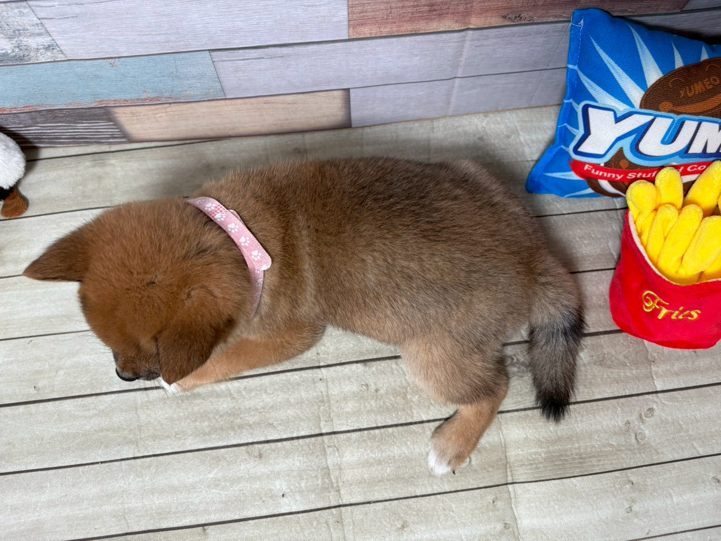赤ちゃん写真3-3