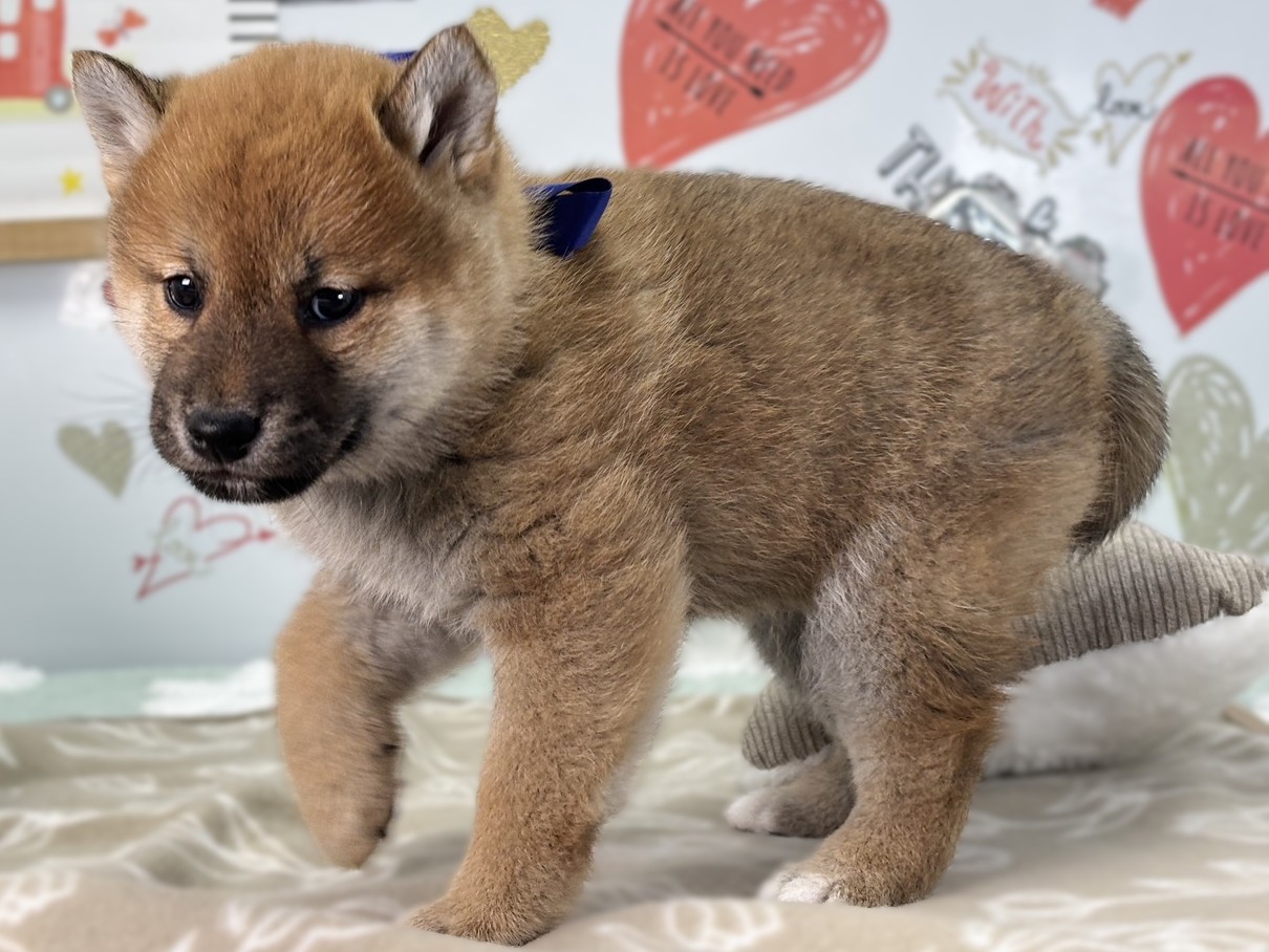 赤ちゃん写真2-2