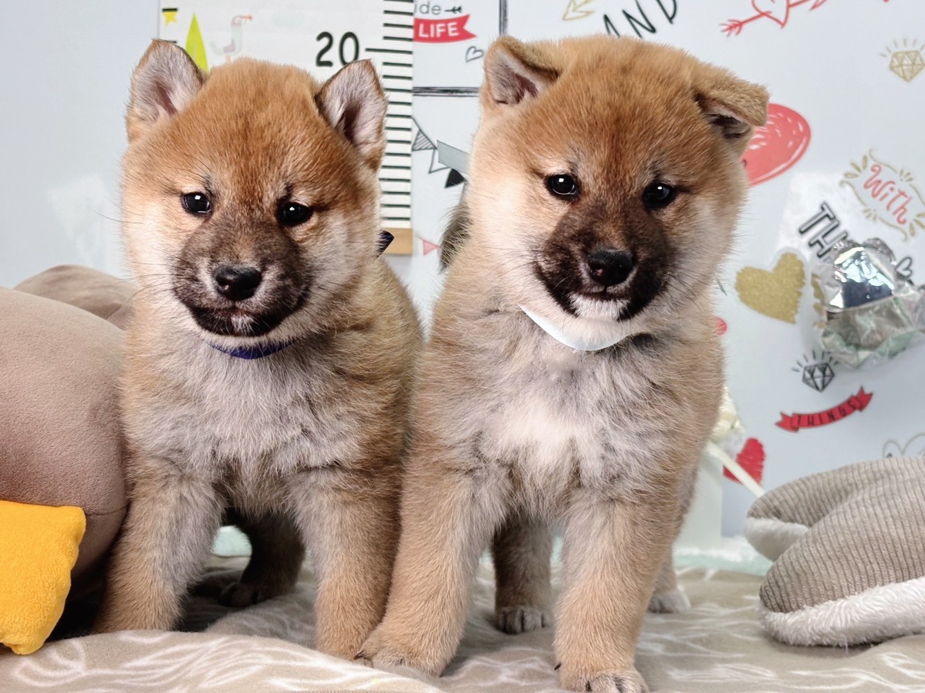 赤ちゃん写真2-3