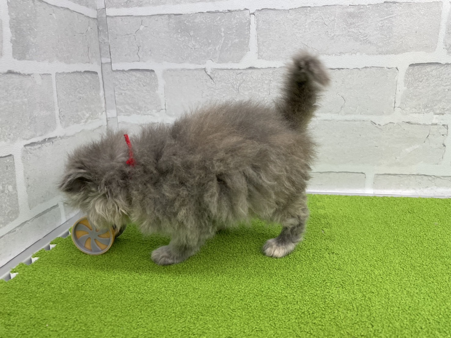 赤ちゃん写真2-2