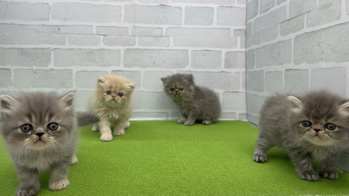 赤ちゃん写真2-3