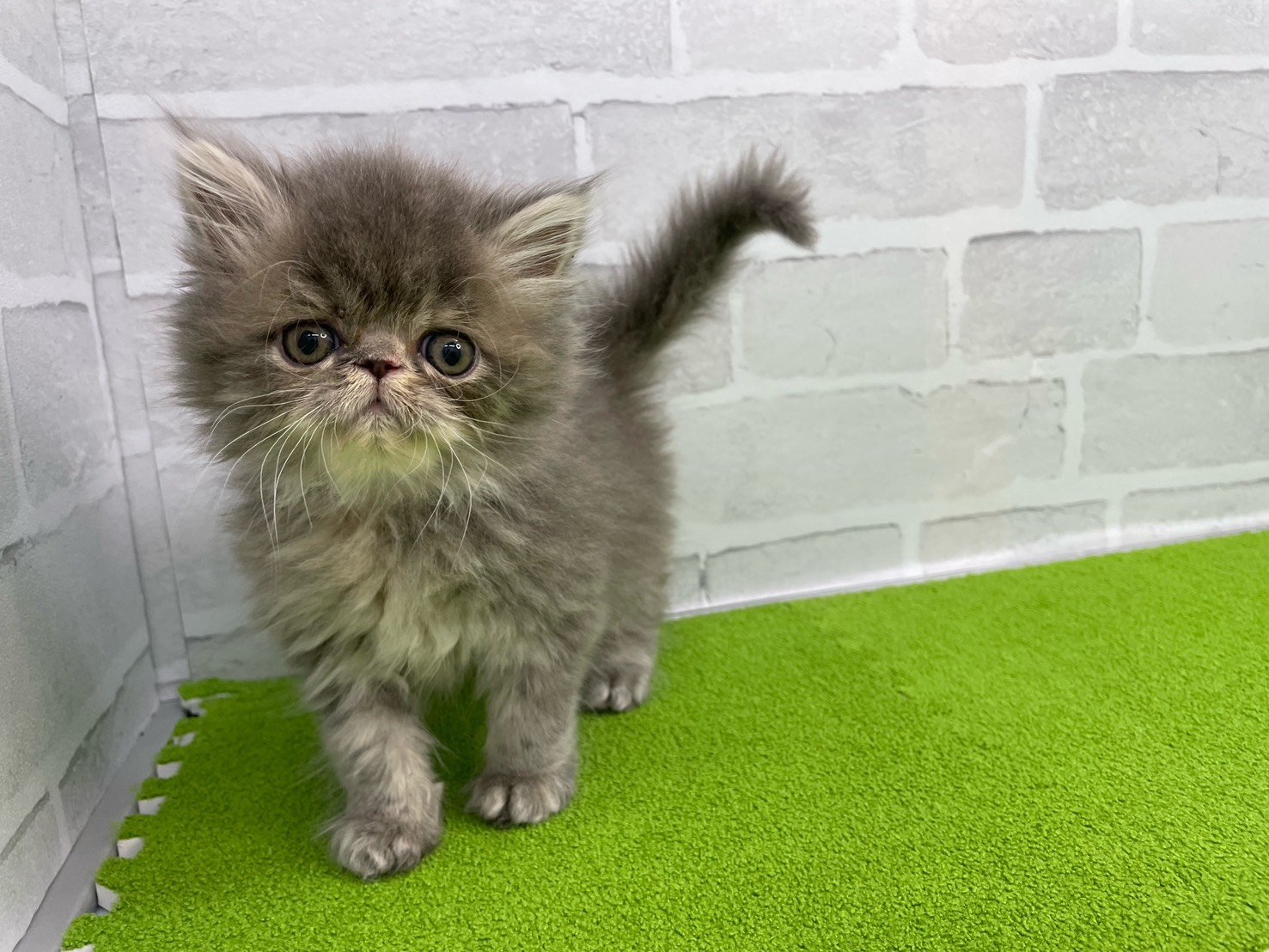 赤ちゃん写真3-1