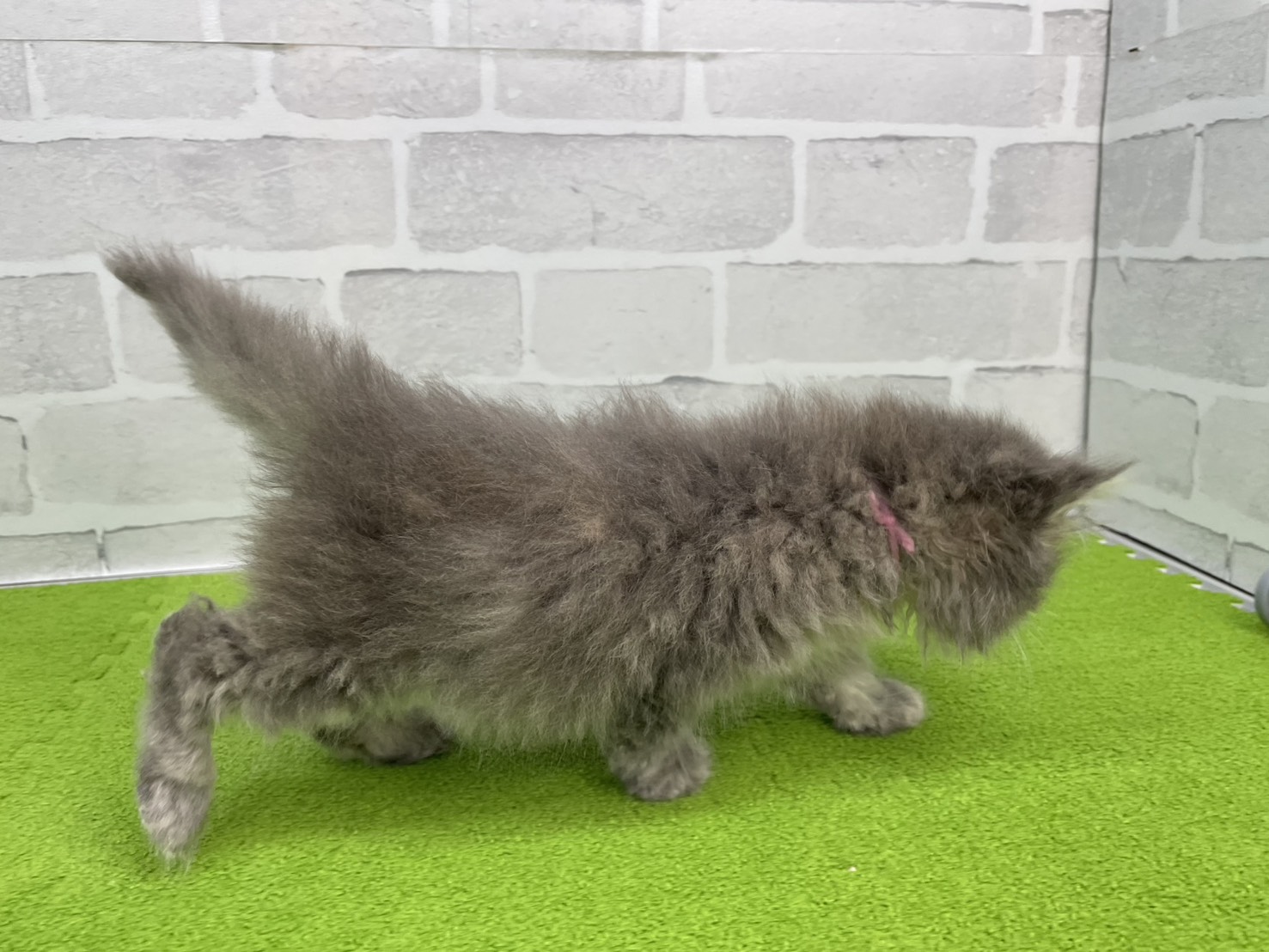 赤ちゃん写真3-2