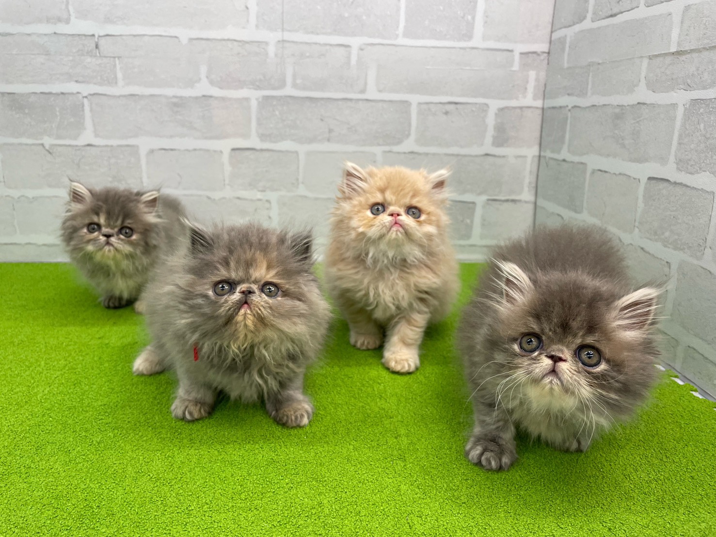 赤ちゃん写真3-3