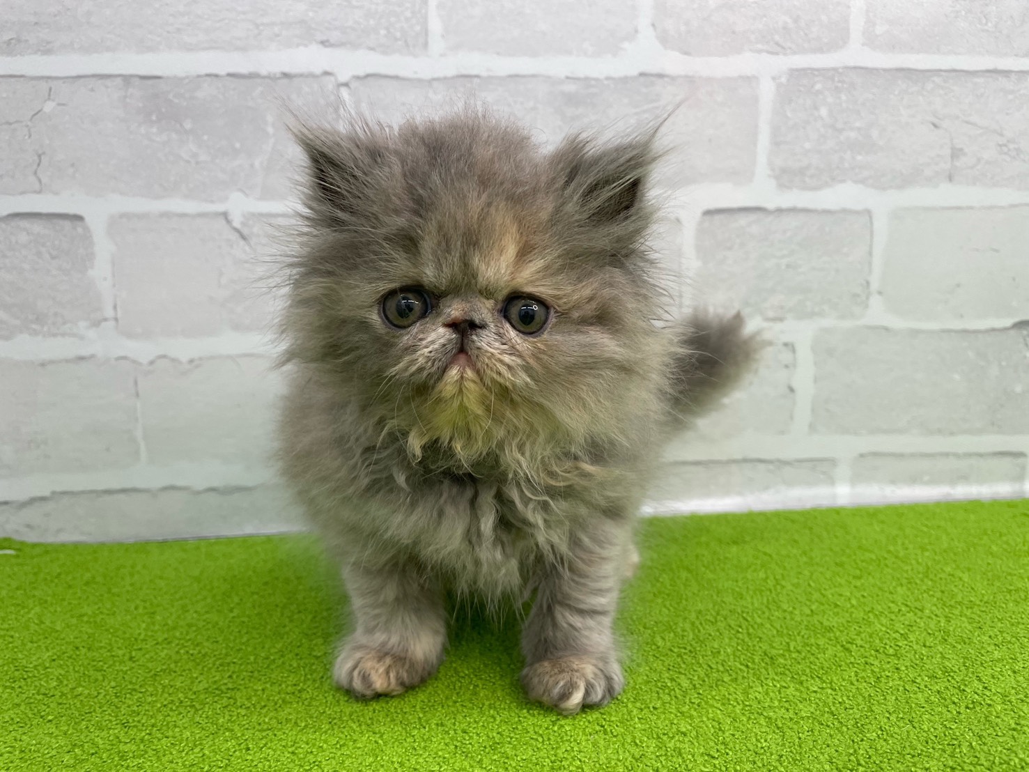 赤ちゃん写真3-1