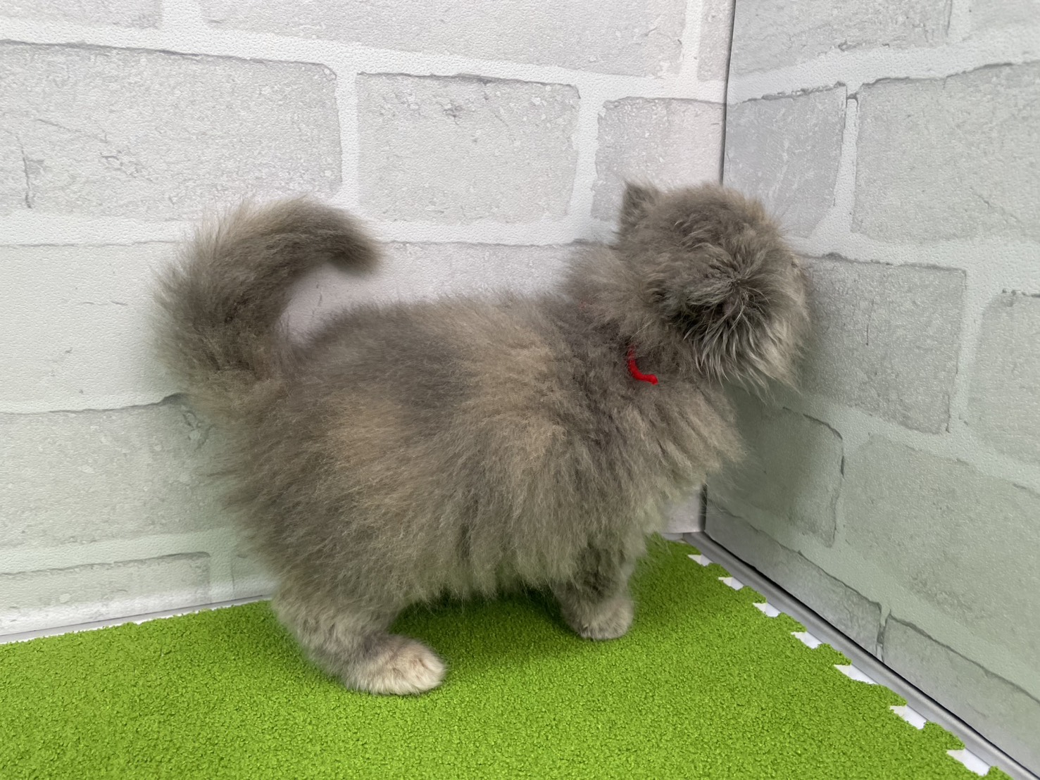 赤ちゃん写真3-2