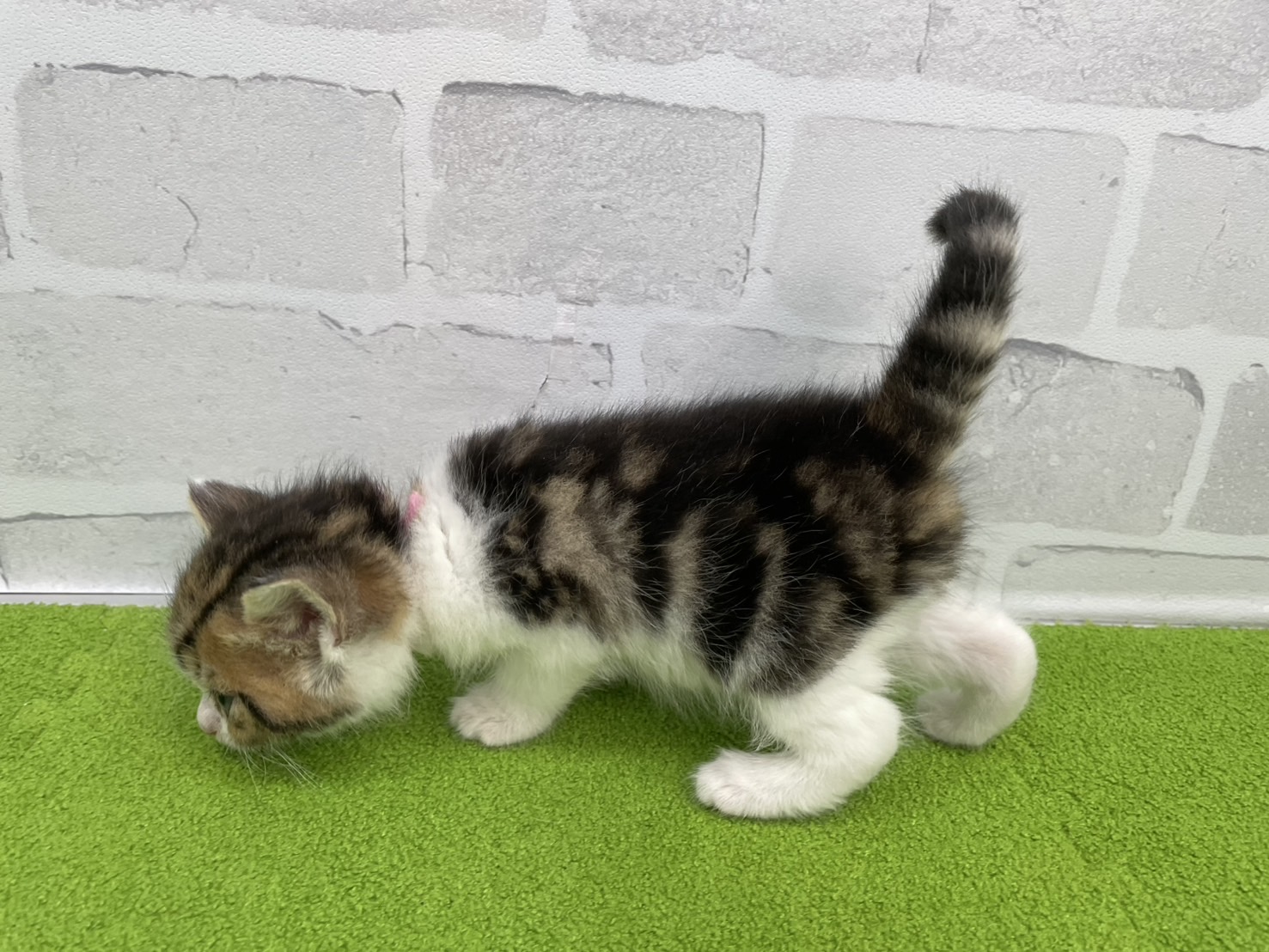 赤ちゃん写真2-2