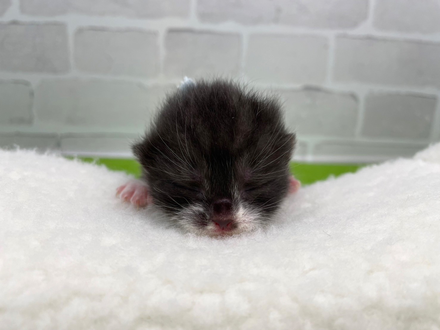 赤ちゃん写真1-1