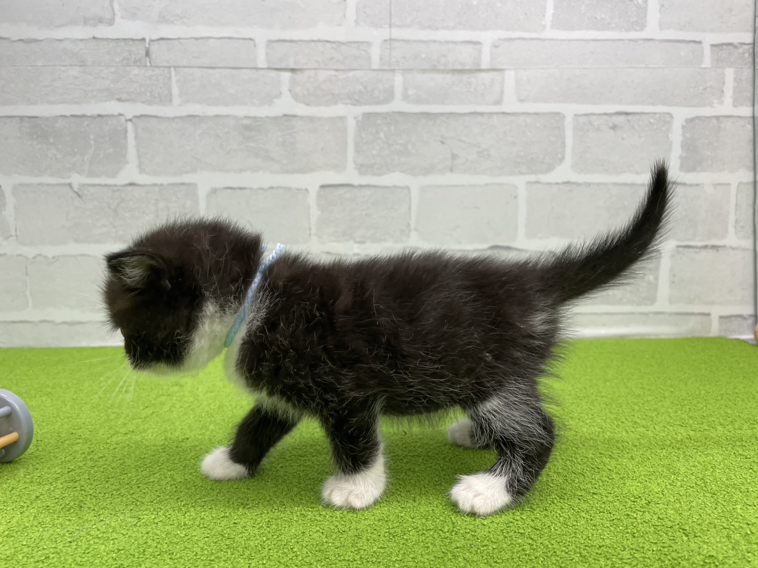 赤ちゃん写真2-2